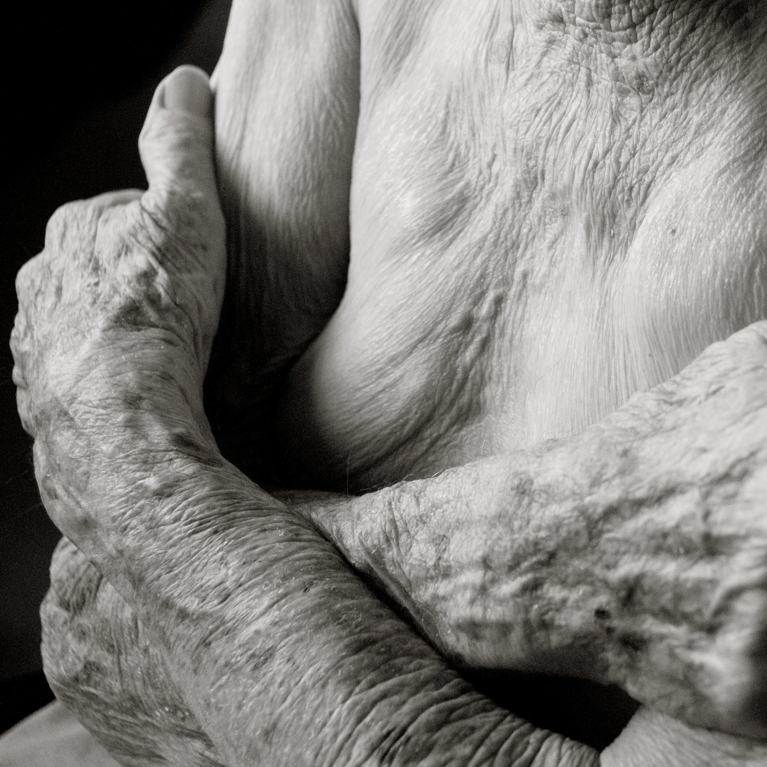 Close-up black and white photograph of elderly man's wrinkled hands resting on his chest.