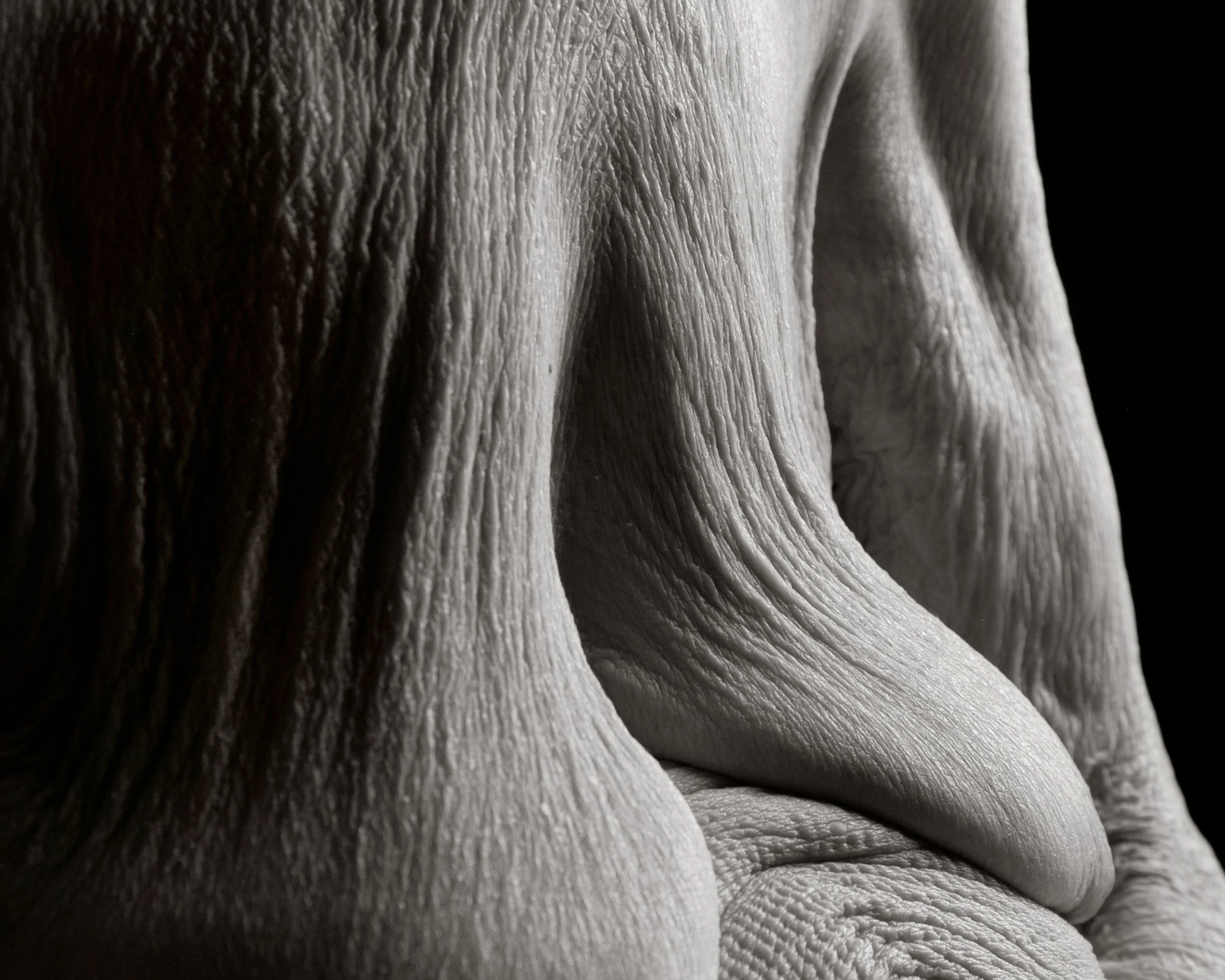 Close-up of wrinkled, textured skin, showing folds and creases of people over the age of 100