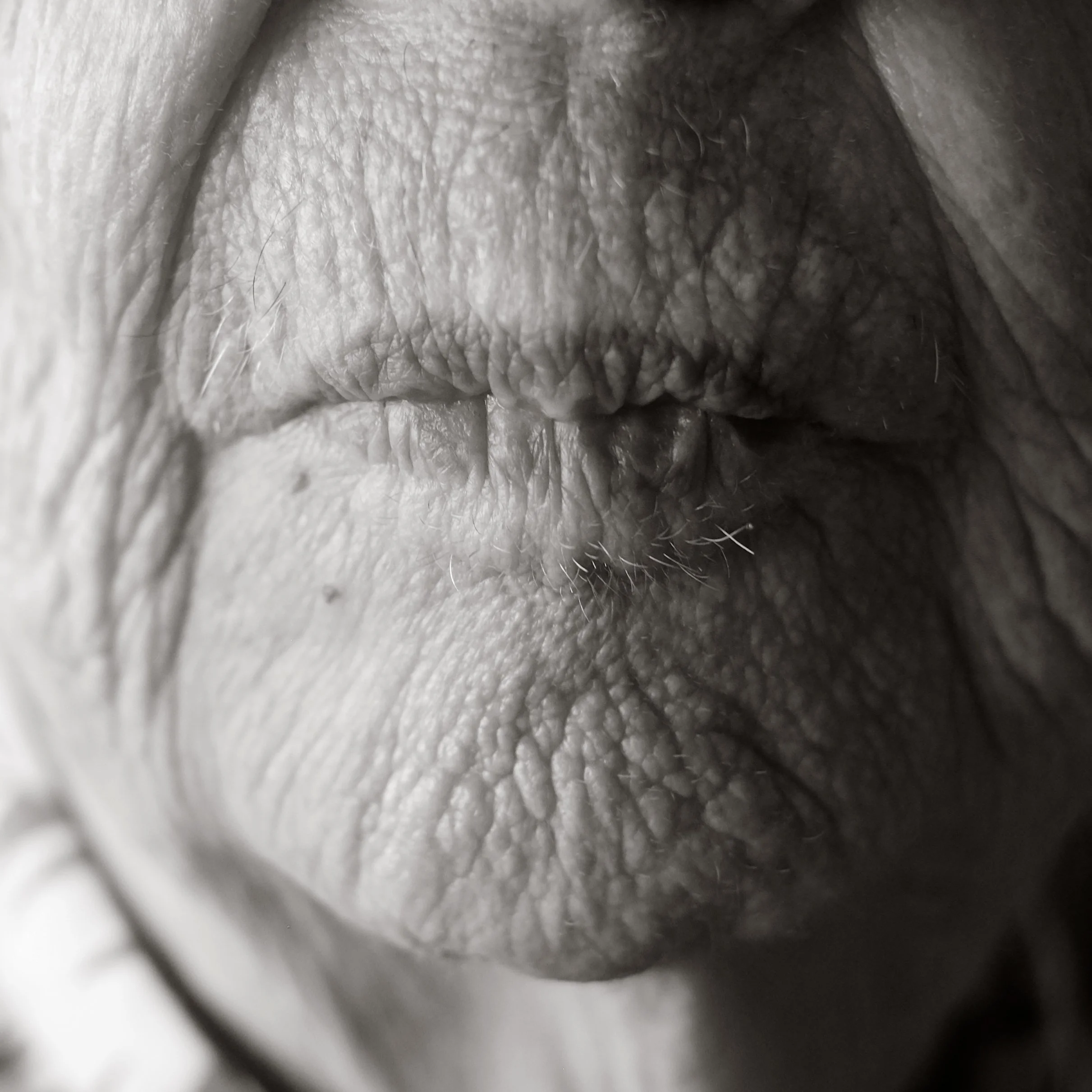 Close-up black and white photograph of an elderly person's mouth, showing wrinkled lips and textured skin around the mouth area.