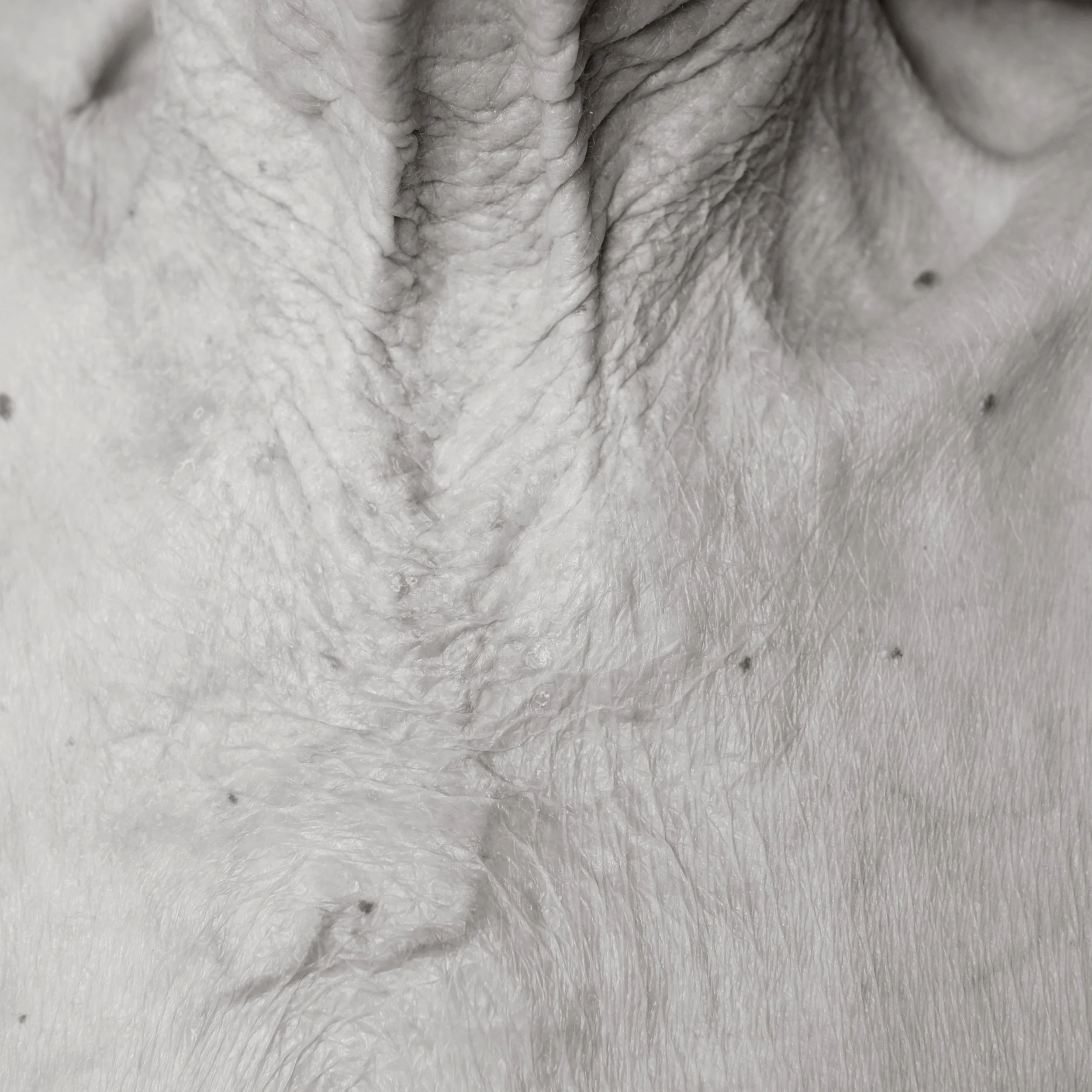 Close-up black and white photograph of human skin, showing wrinkles, pores, and small moles.