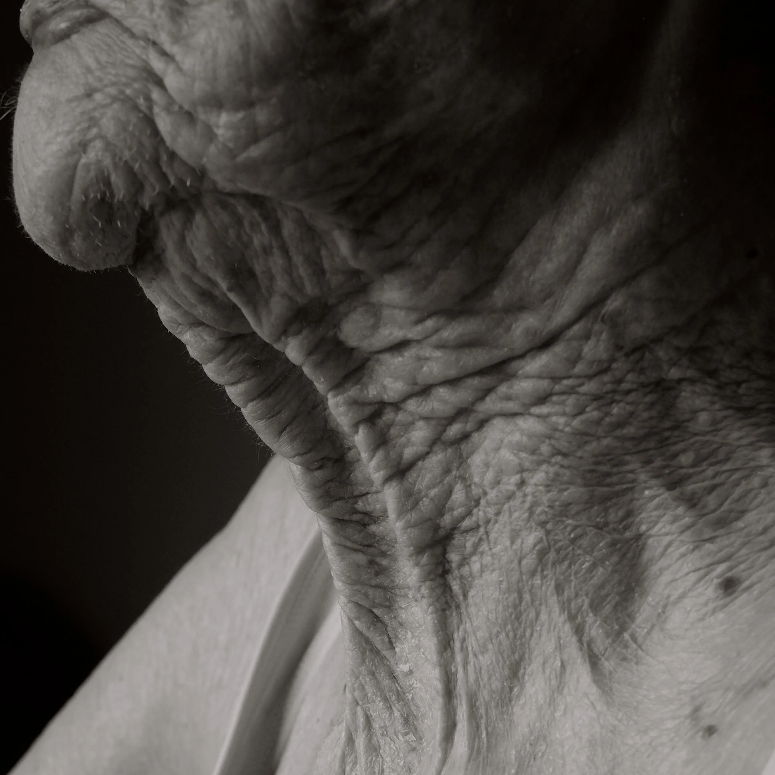 Close-up of the wrinkled skin of an elderly person's neck and chin.