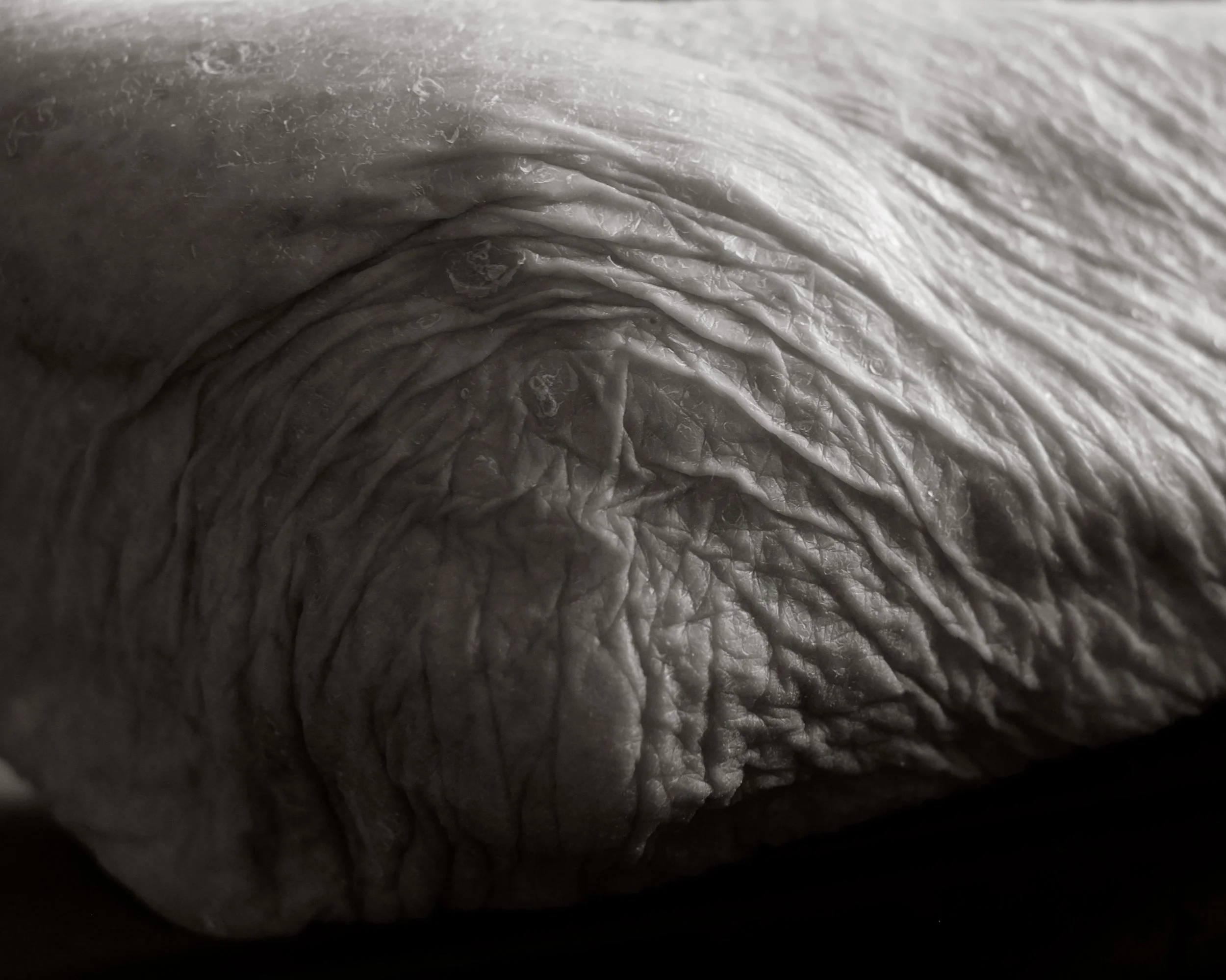 Close-up black and white photograph of wrinkled skin, possibly the textured surface of a human body part.