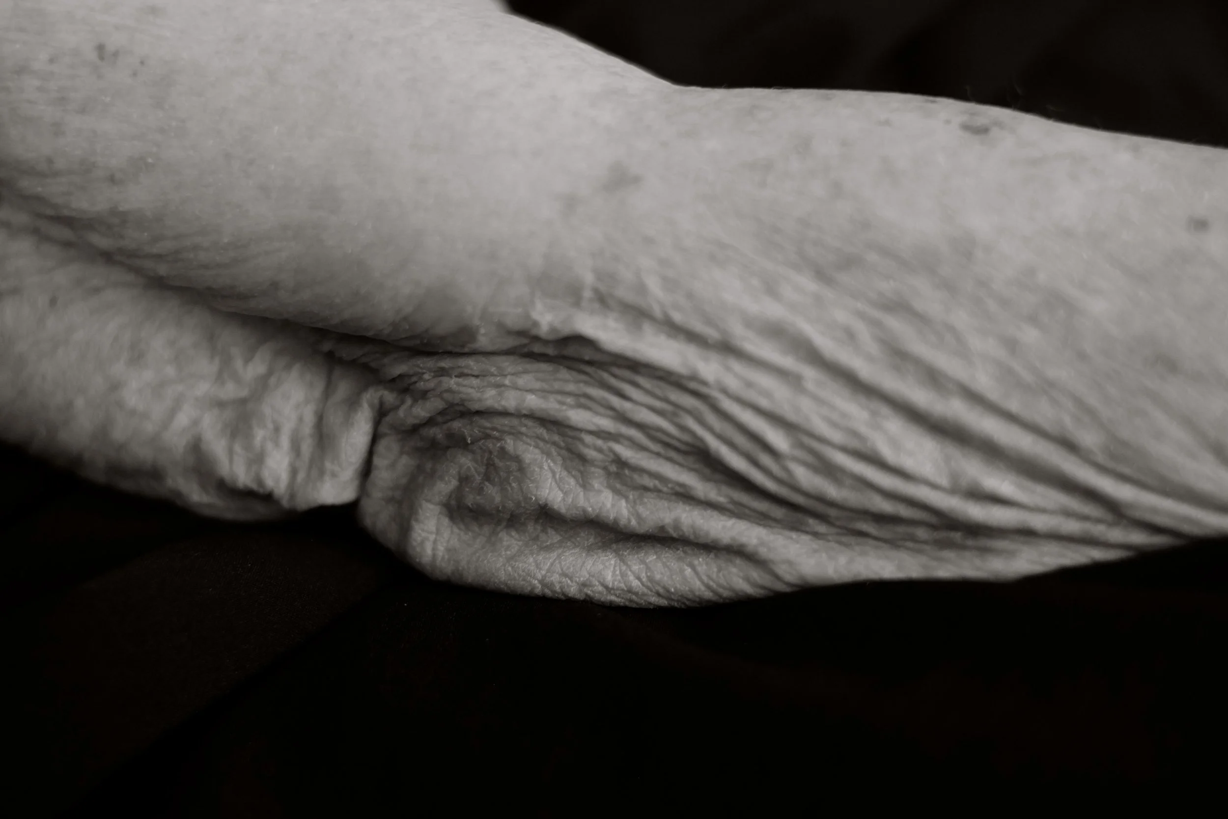 Close-up of wrinkled, textured skin, showing folds and creases of people over the age of 100