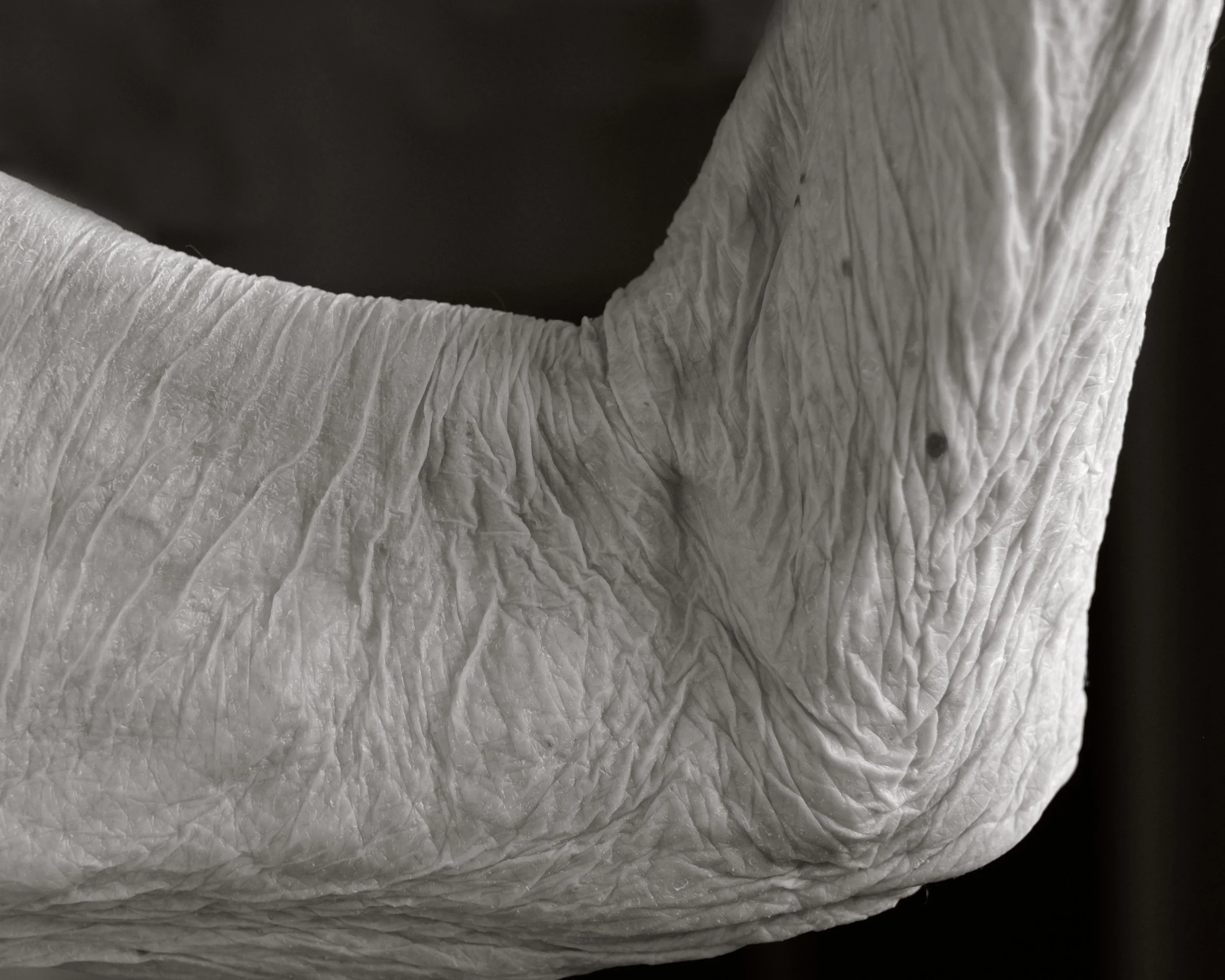 Close-up of wrinkled, textured skin, showing folds and creases of people over the age of 100