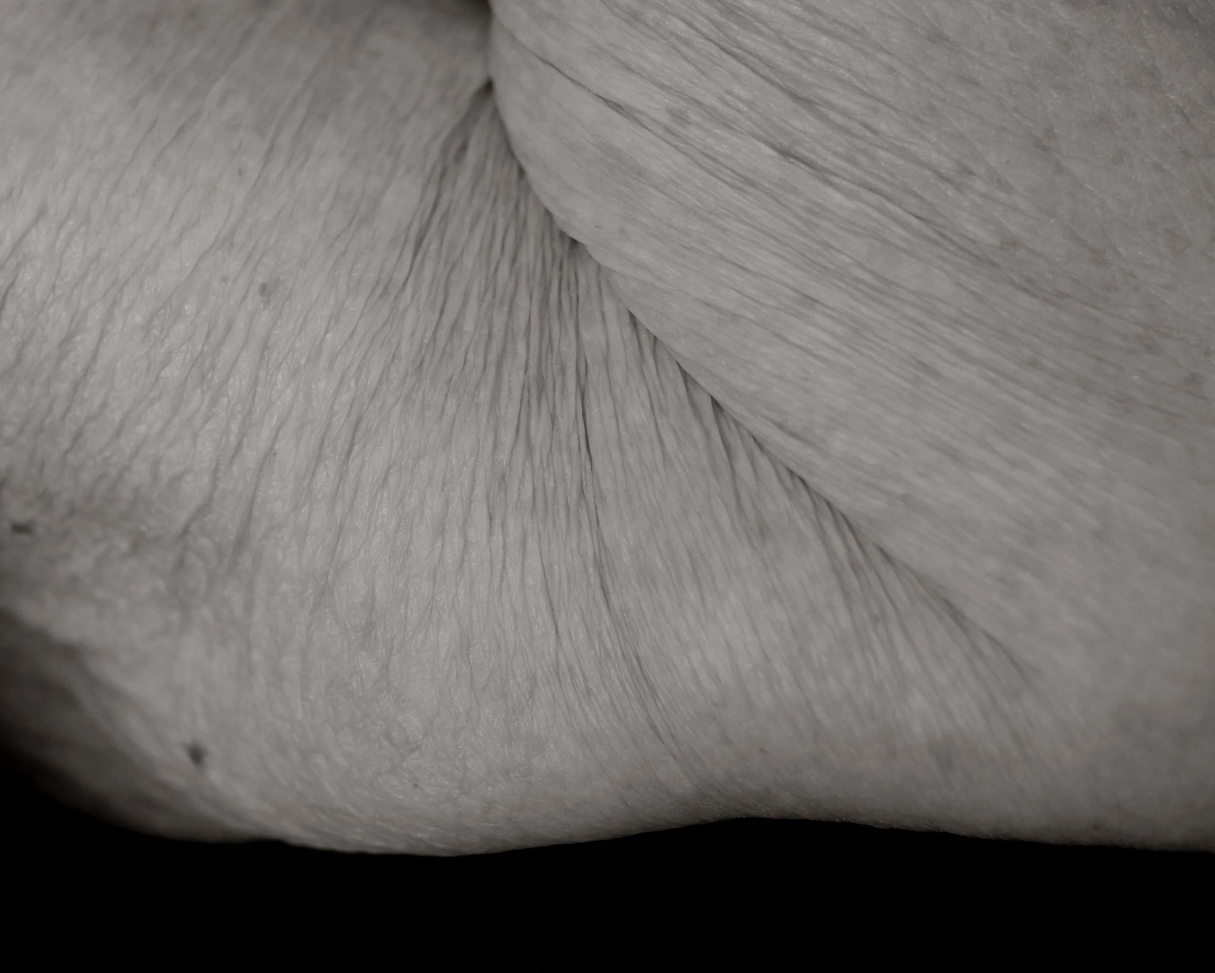 Close-up of wrinkled, textured skin, showing folds and creases of people over the age of 100