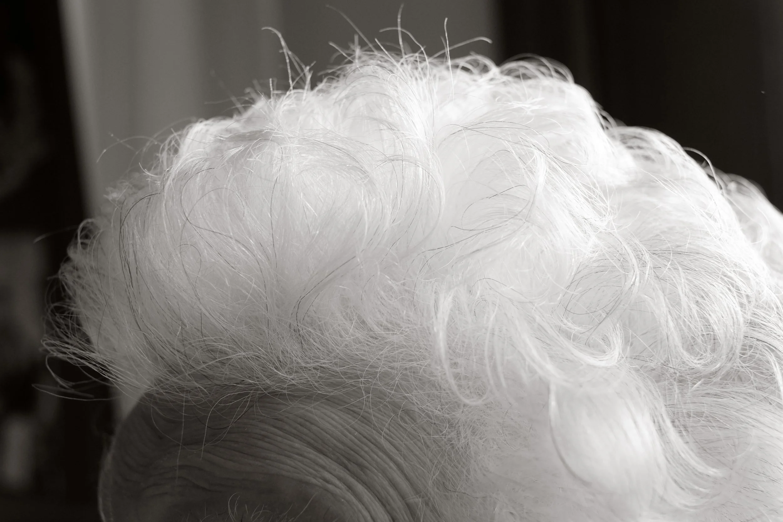 Close-up of white curly hair on an elderly person's head.