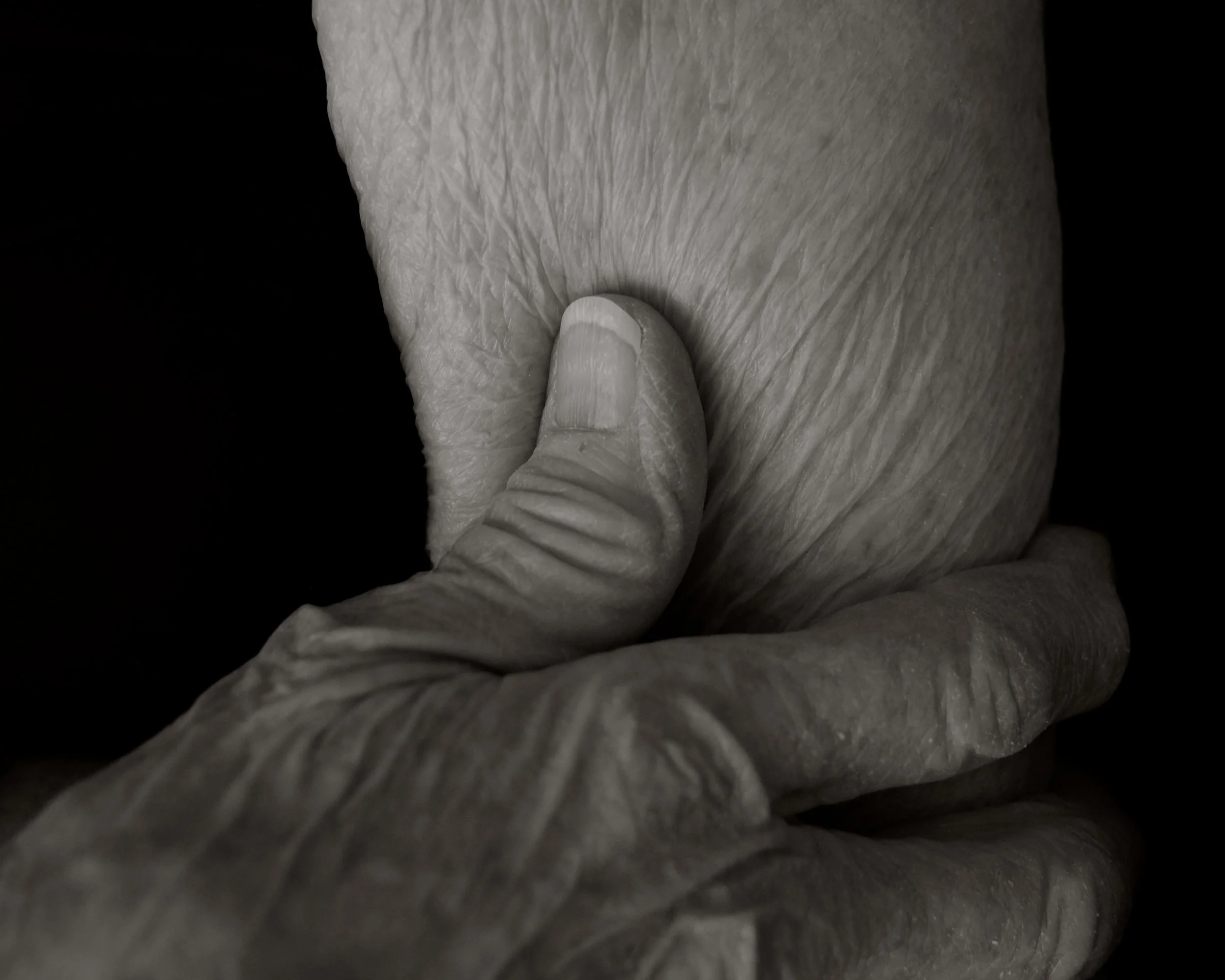 Close-up of wrinkled, textured skin, showing folds and creases of people over the age of 100