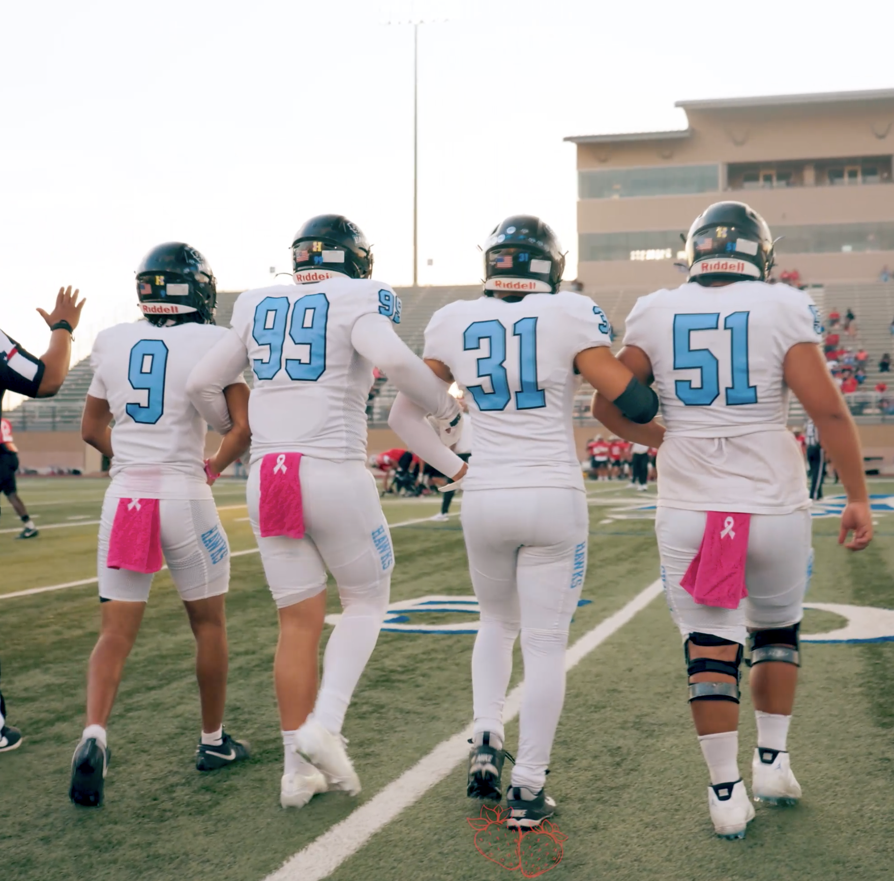 HAWKS DOMINATES FALCONS