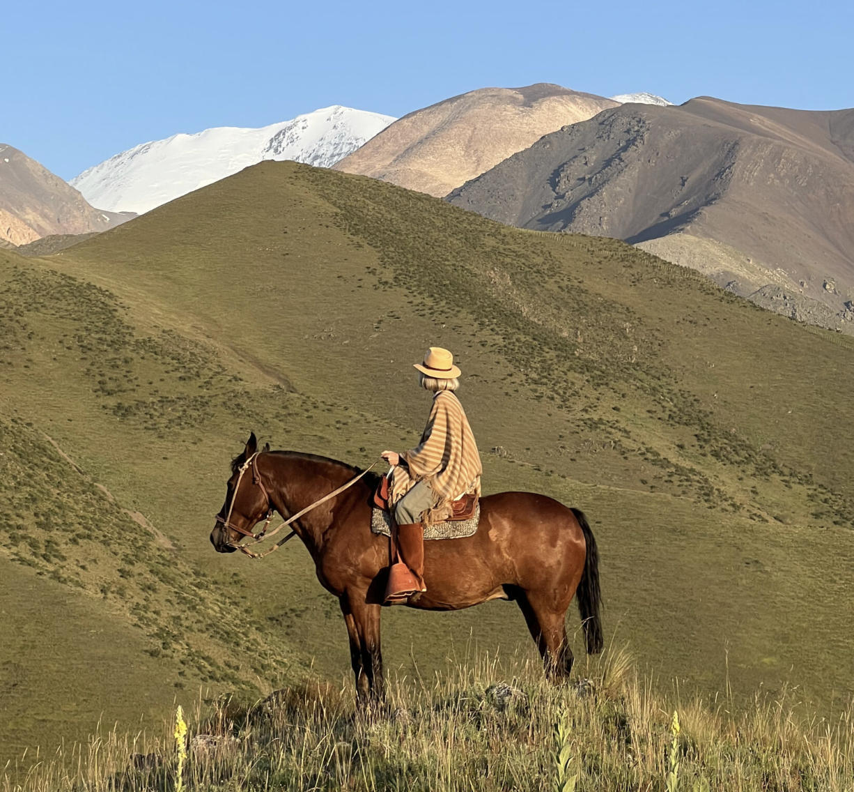 Una persona montando a caballo en un paisaje de montañas verdes y nevadas al fondo bajo un cielo azul.