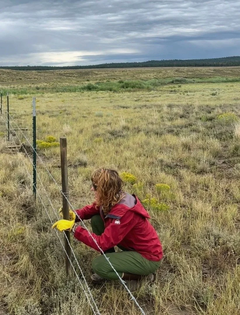 Woman wearing a red jacket and yellow gloves kneeling in a grassy field, attaching wire fencing to a wooden post, with a cloudy sky and open landscape in the background.