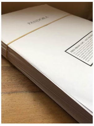 After the publishing deal - what to expect