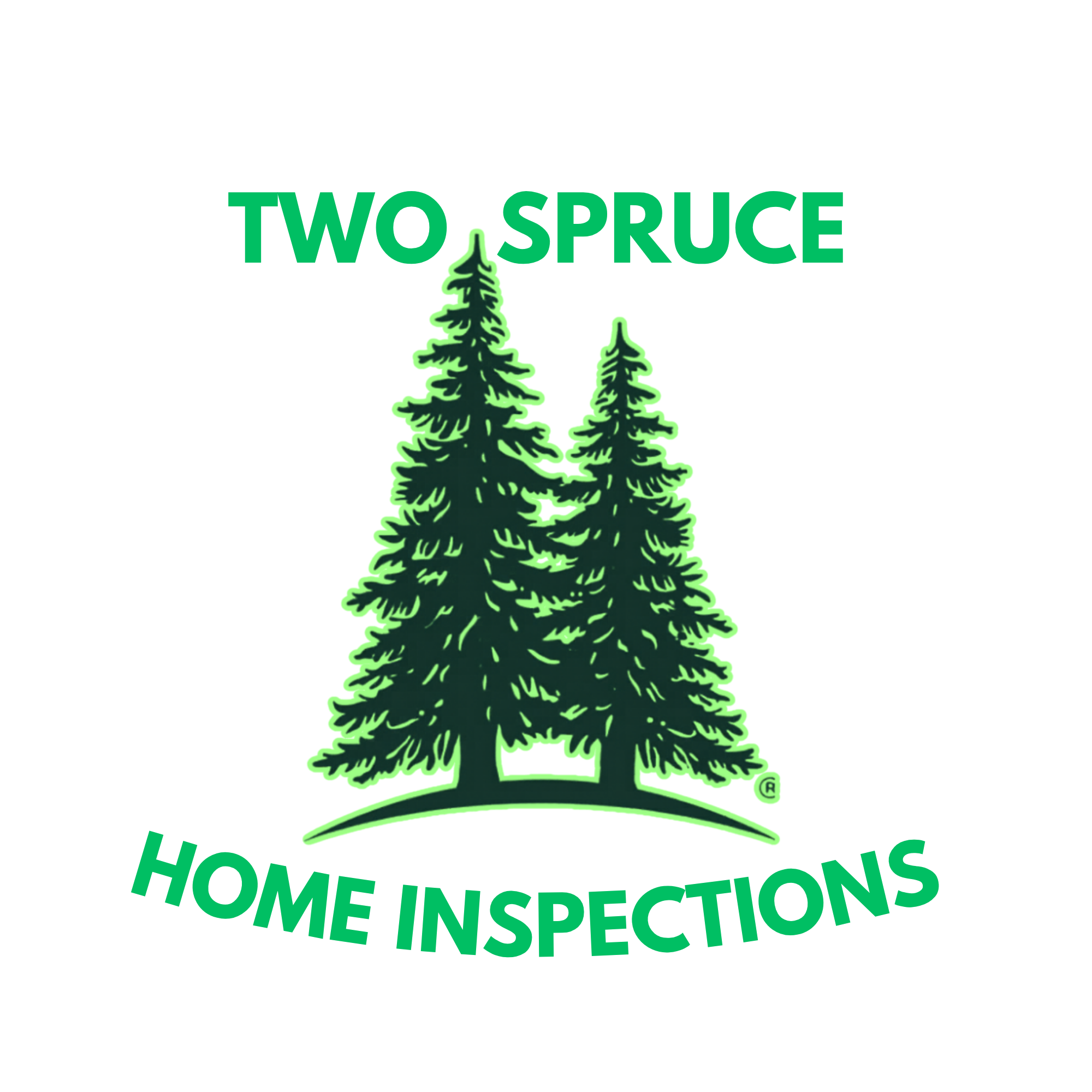 Green and black logo featuring two pine trees with the words "The North Face" underneath.
