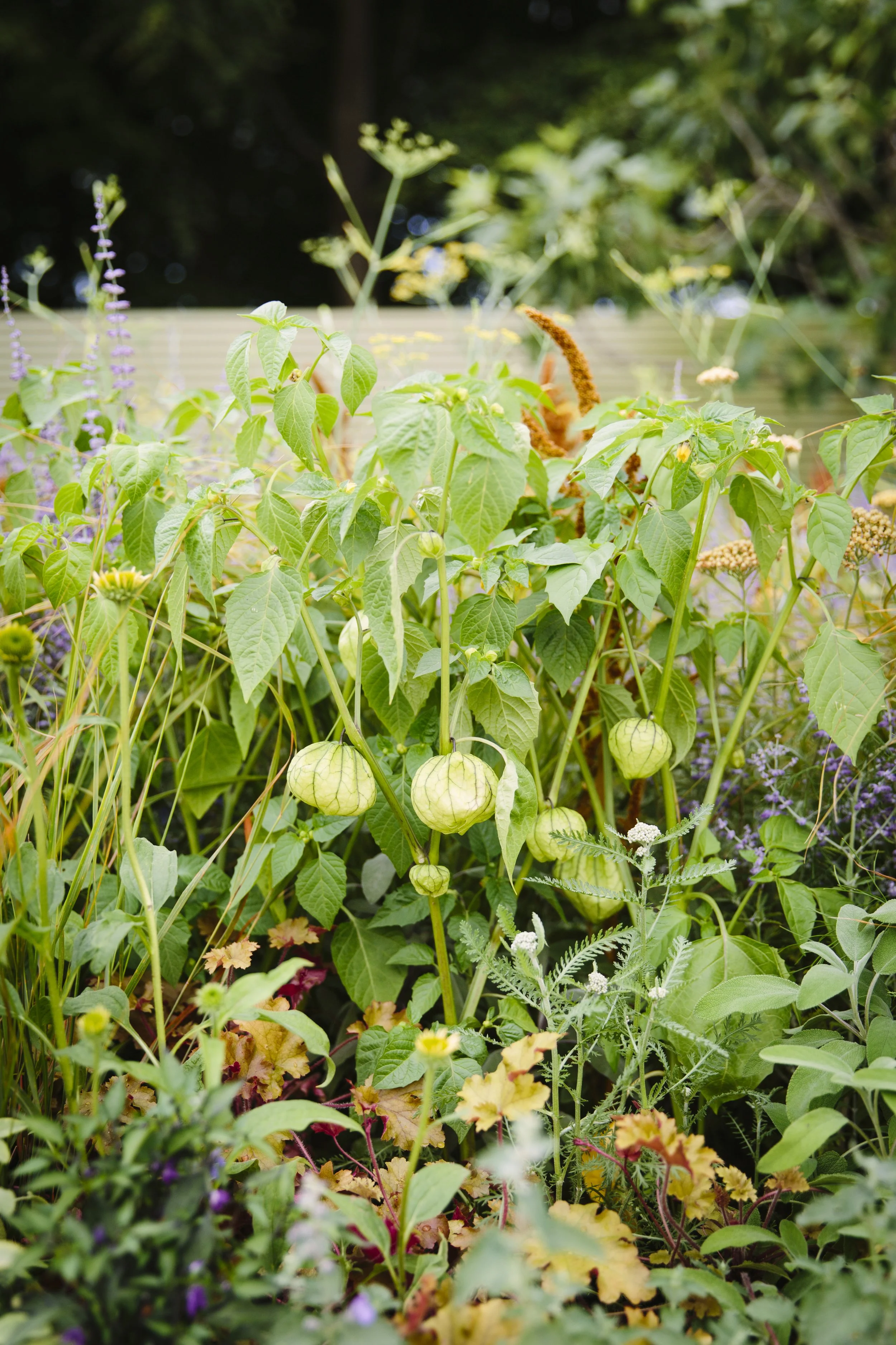 10 Benefits of ‘Edimental Planting’