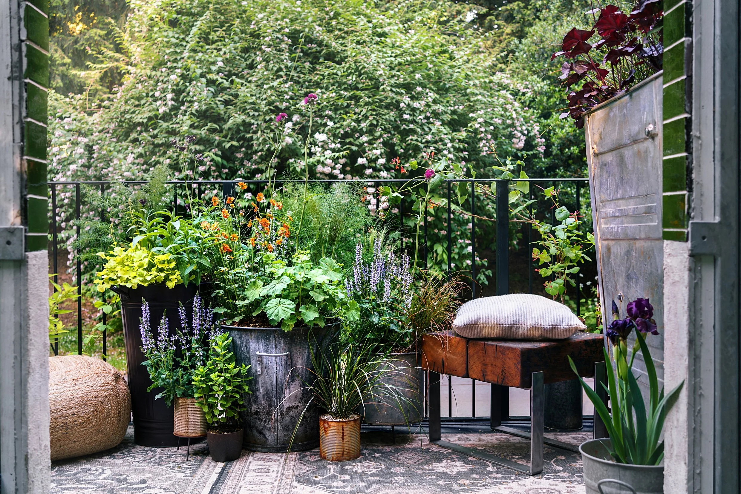 Container planting and seating on balcony garden Chelsea Flower Show 2023