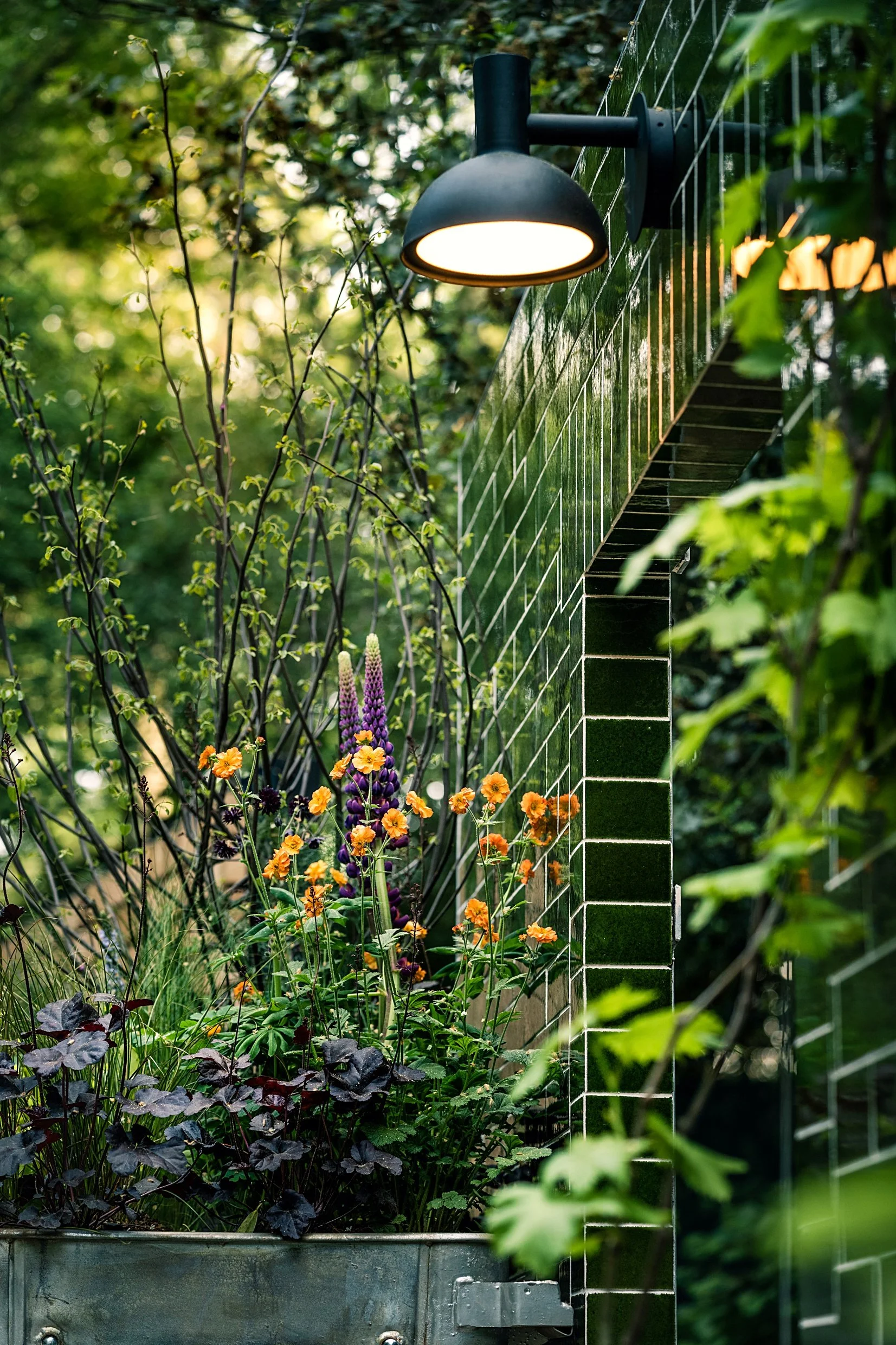Image of ‘Alight Here’ Balcony Garden Lighting, Chelsea Flower Show, © 2023 Emma Tamsin Tipping, Photograph by Julie Skelton