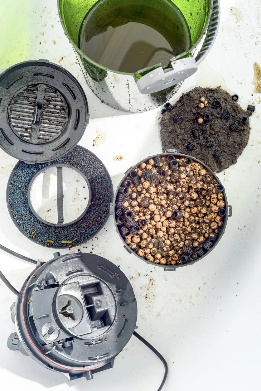 Mangueras desconectadas de un filtro canister para su limpieza