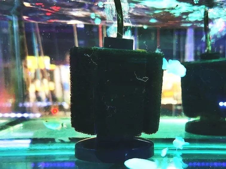 Filtros de esponja
