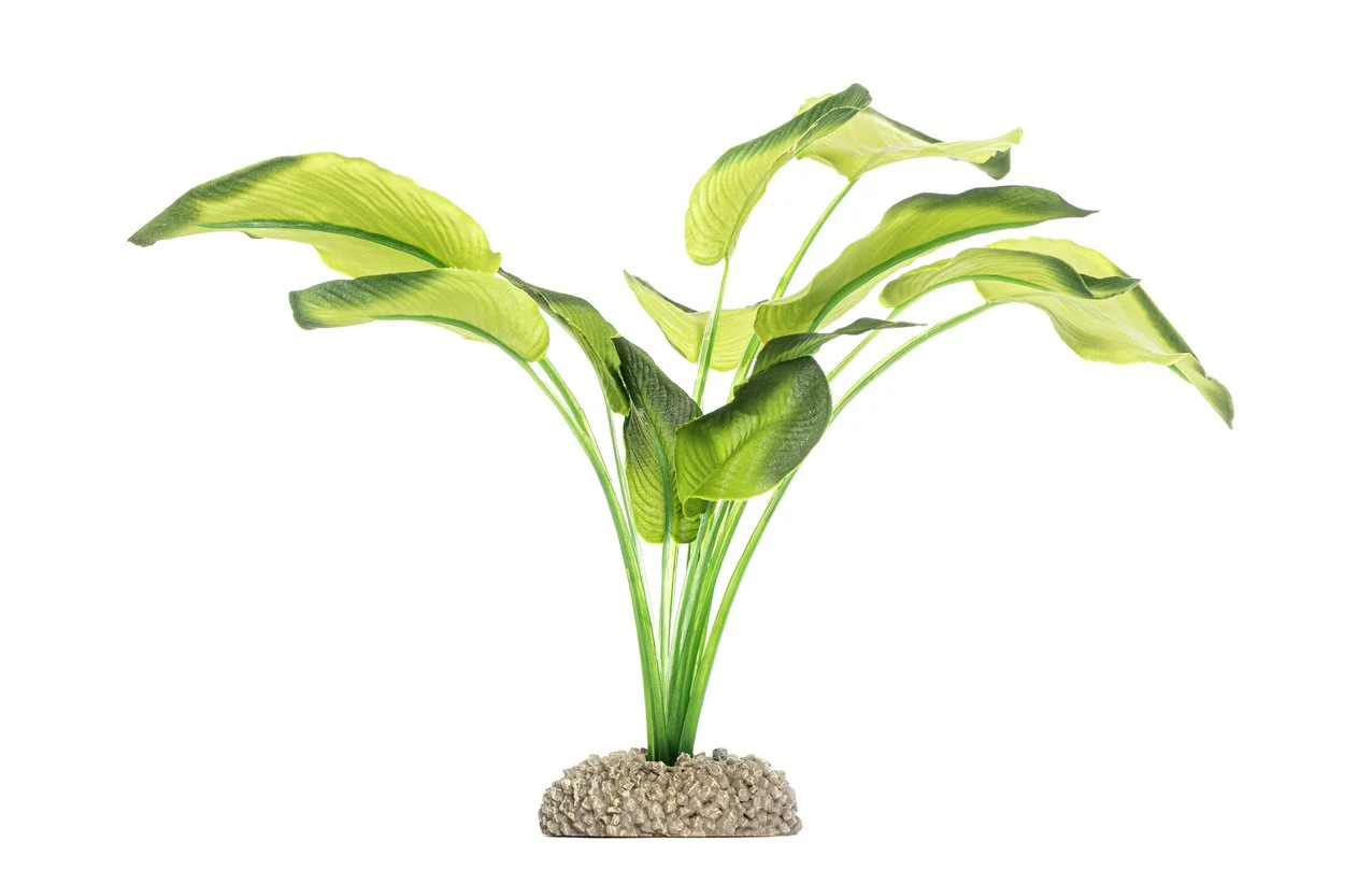 Plantas naturales o artificiales, ¿cuál le conviene a tu pecera?