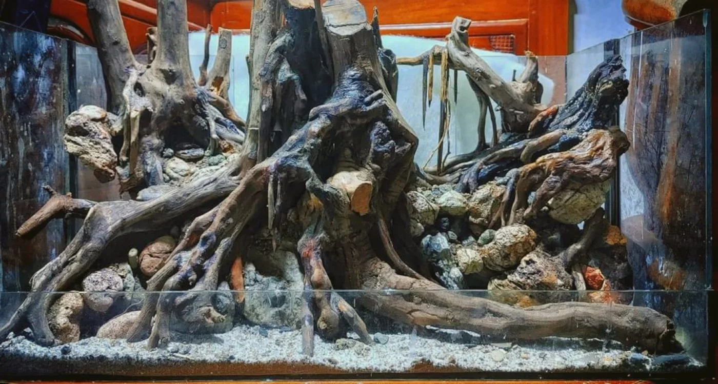 Madera y troncos para tu pecera