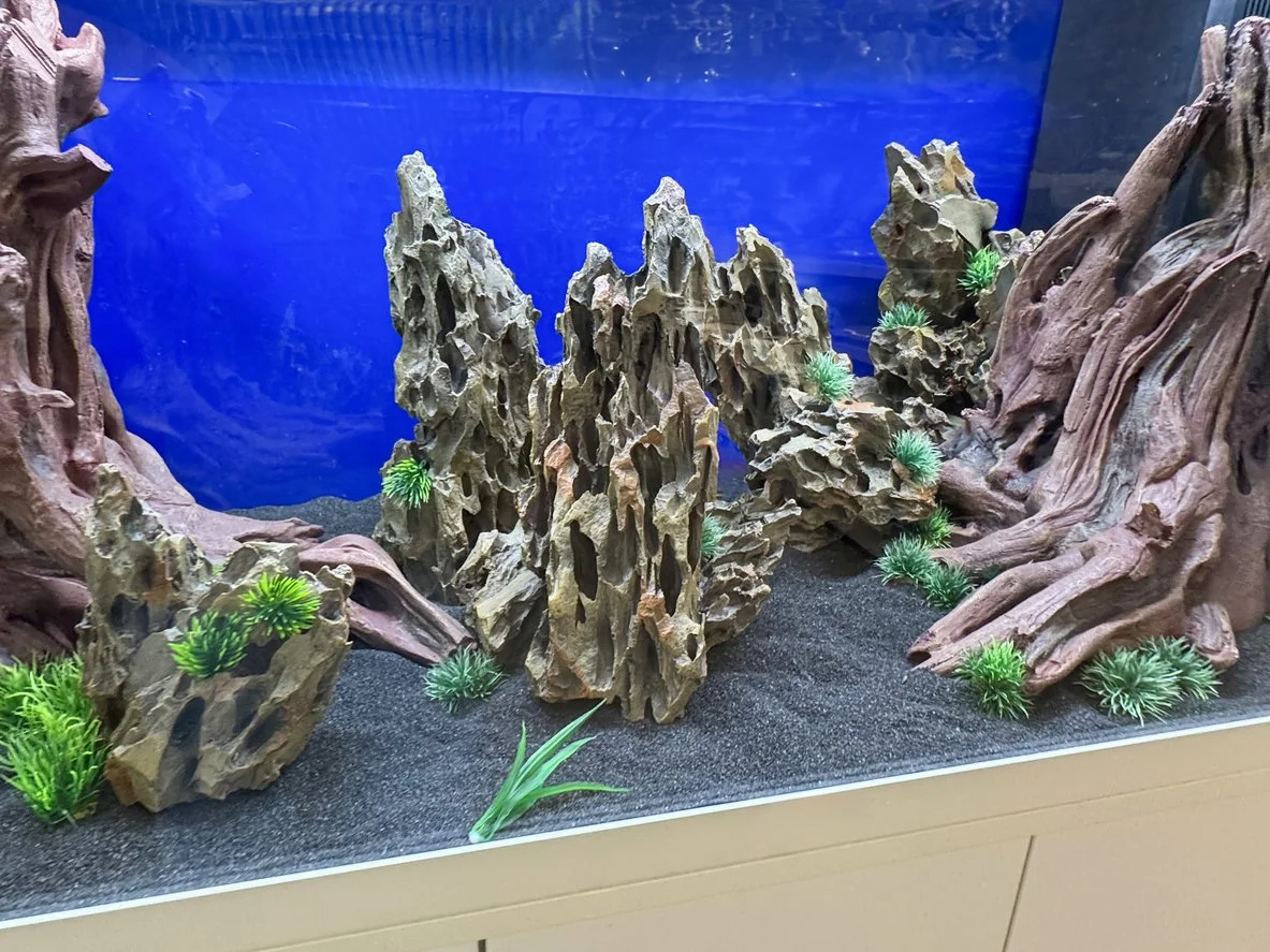 Setup de piedra dragón