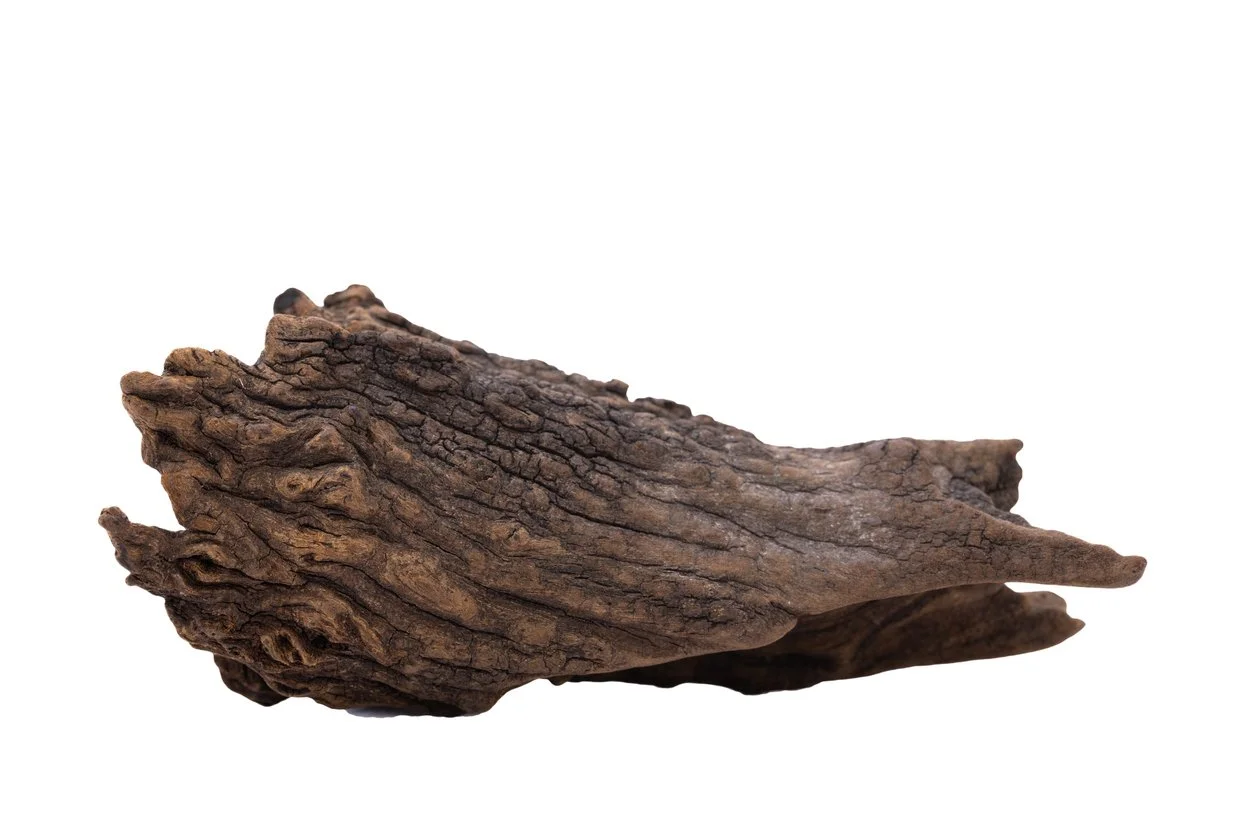 Madera malaya con huecos naturales para acuario