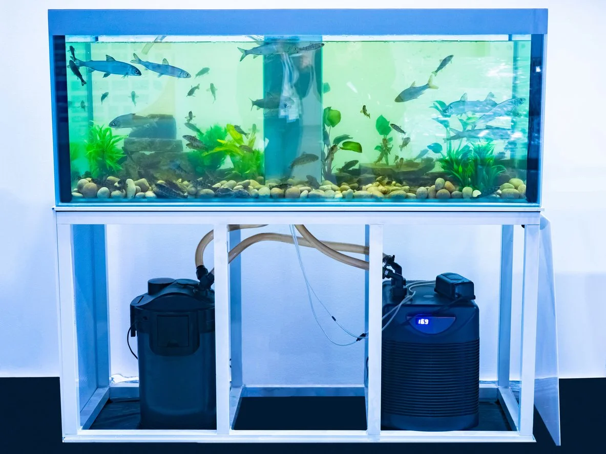 Canister instalado debajo del mueble de la pecera