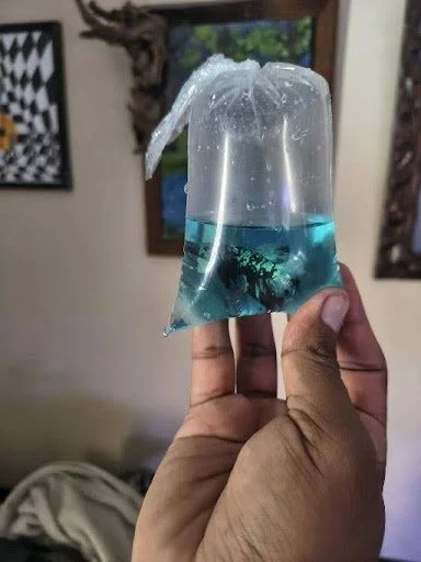 bolsa con oxígeno para transportar peces
