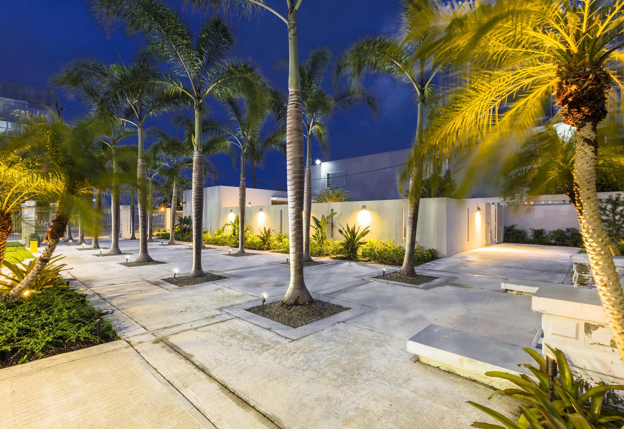 Nighttime scene of a modern outdoor area with tall palm trees illuminated by yellow lighting, concrete pathways, and a white wall with built-in lights. Modern buildings and a dark blue sky are visible in the background.