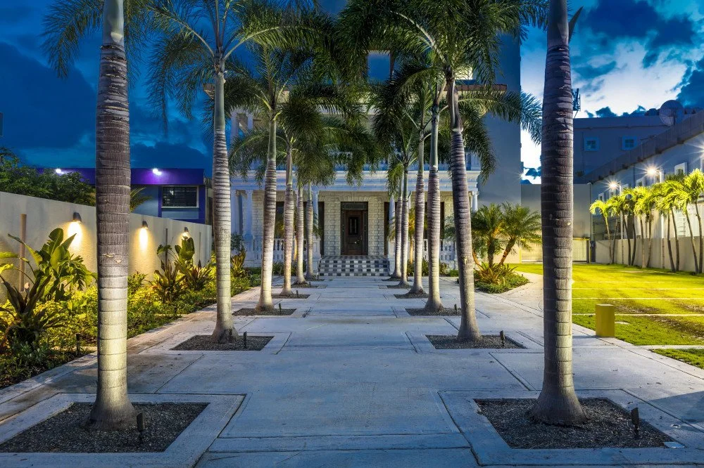 Nighttime view of a walkway lined with palm trees leading to a modern building with exterior lighting and landscaped gardens