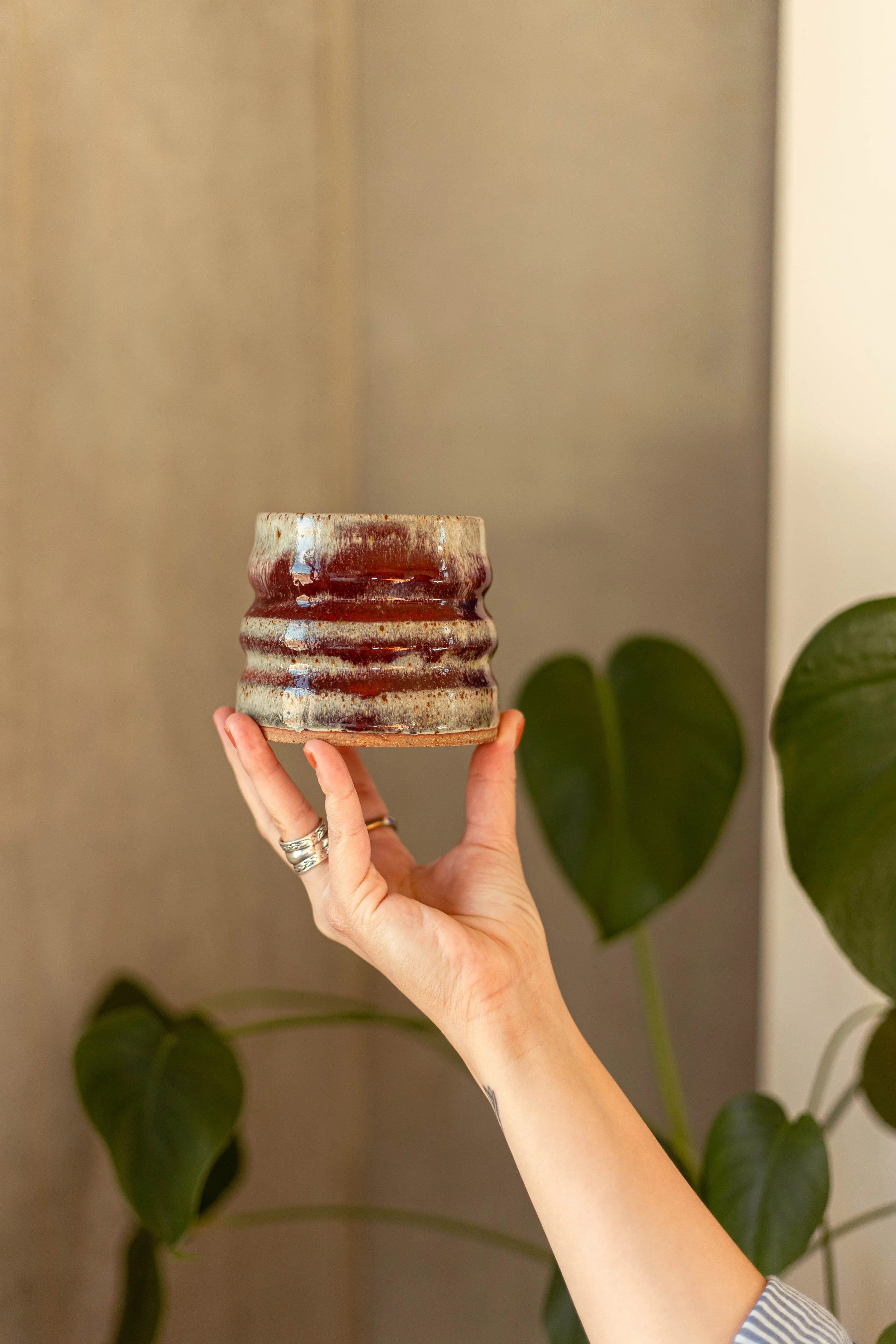 Copy of IMG_4989.jpg