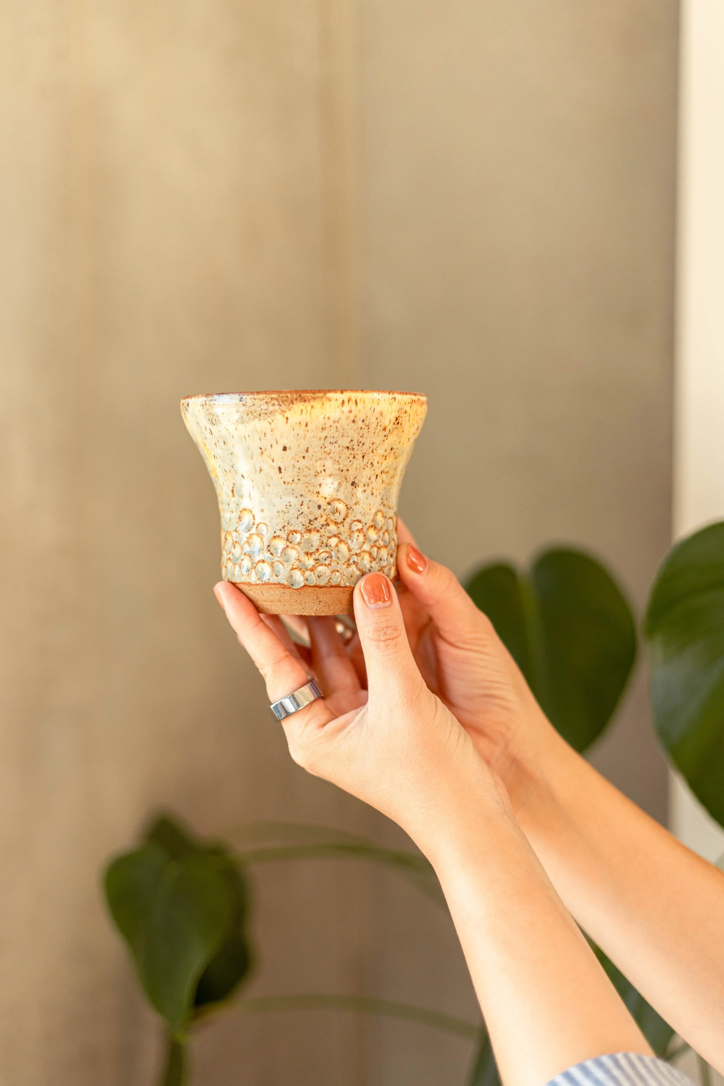 Copy of IMG_5010.jpg