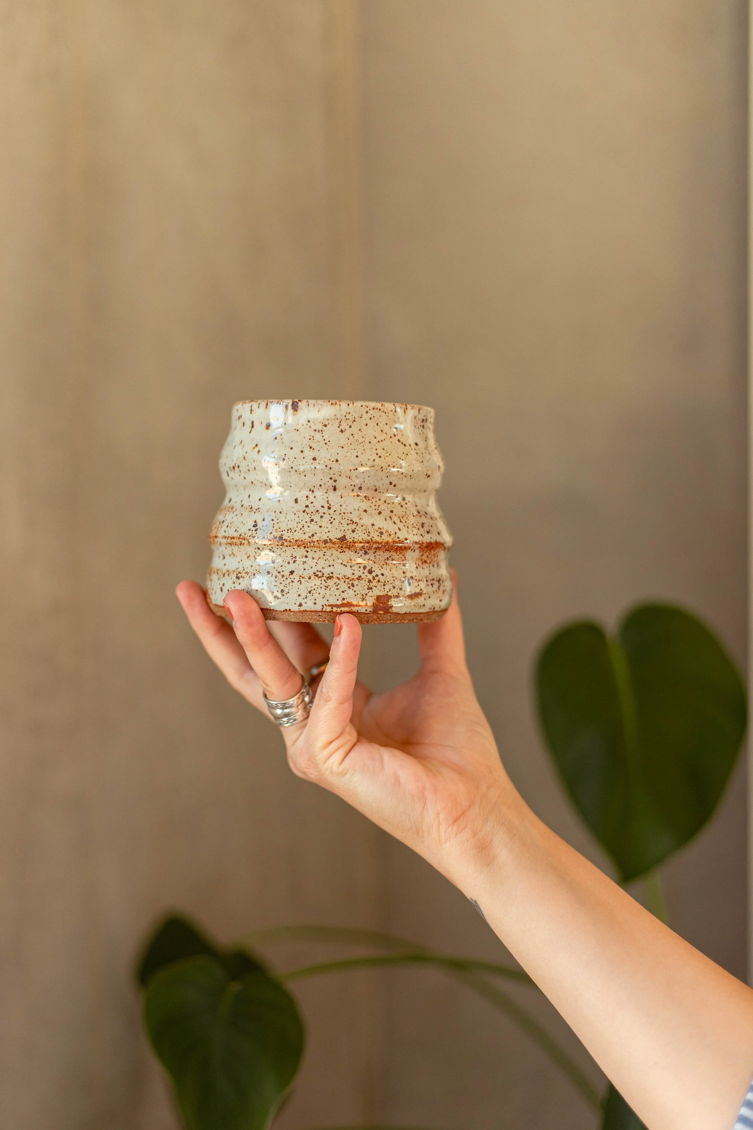 Copy of IMG_4979.jpg