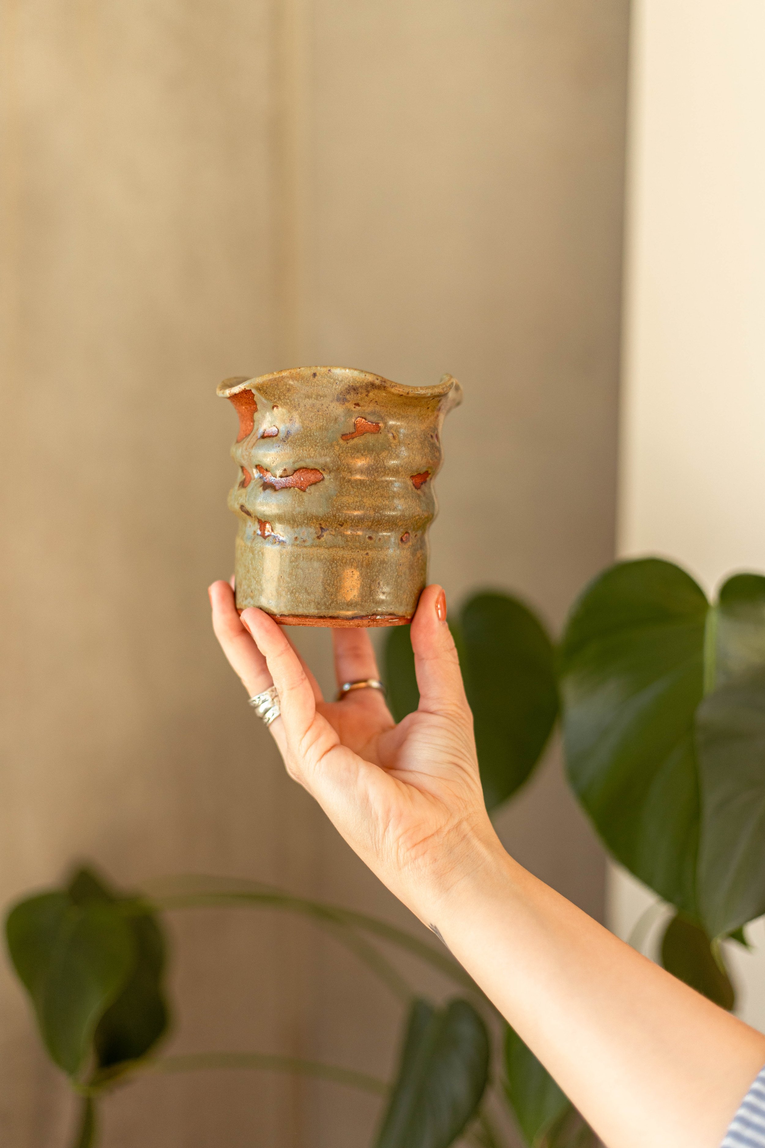 Copy of IMG_5025.jpg