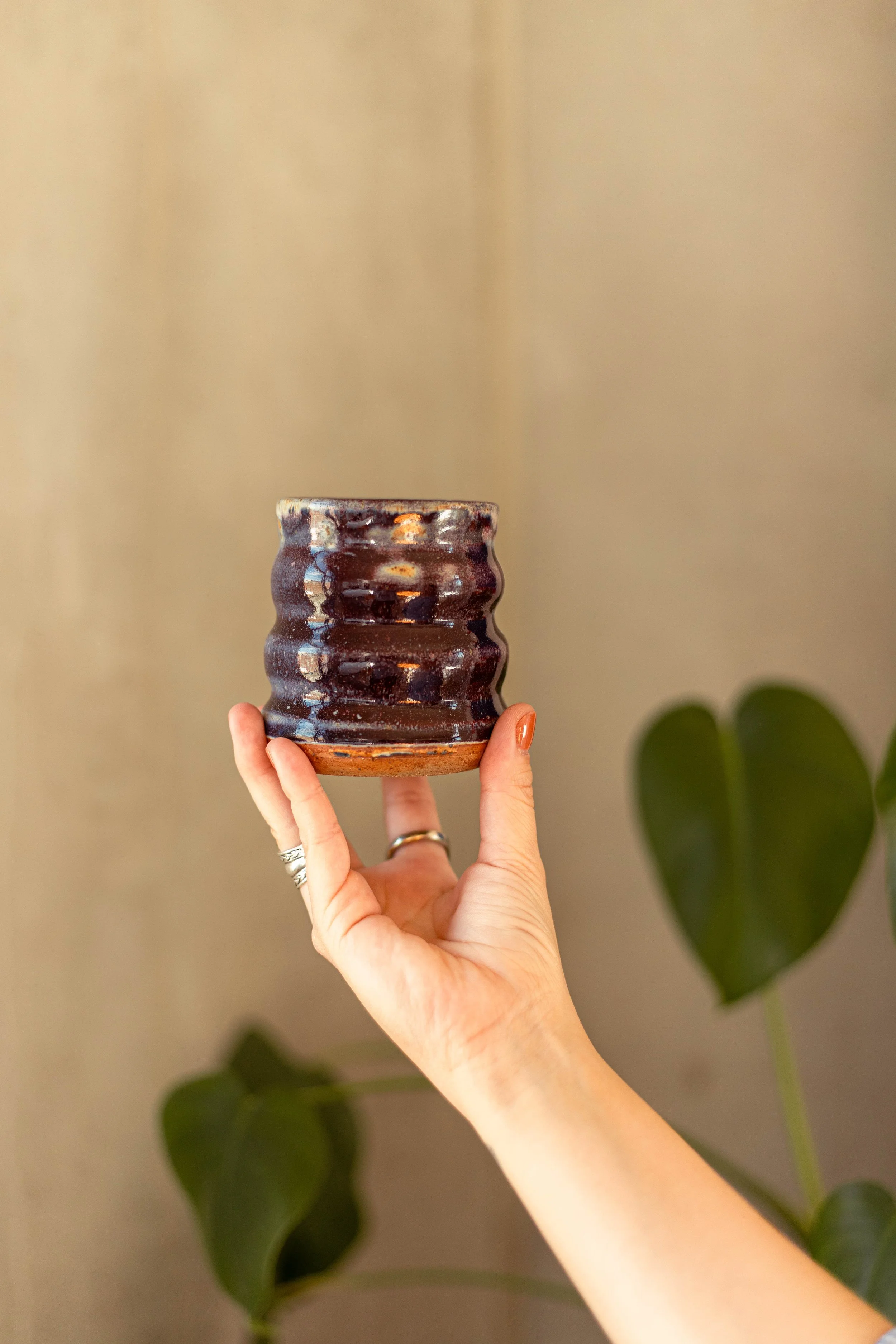 Copy of IMG_5029.jpg