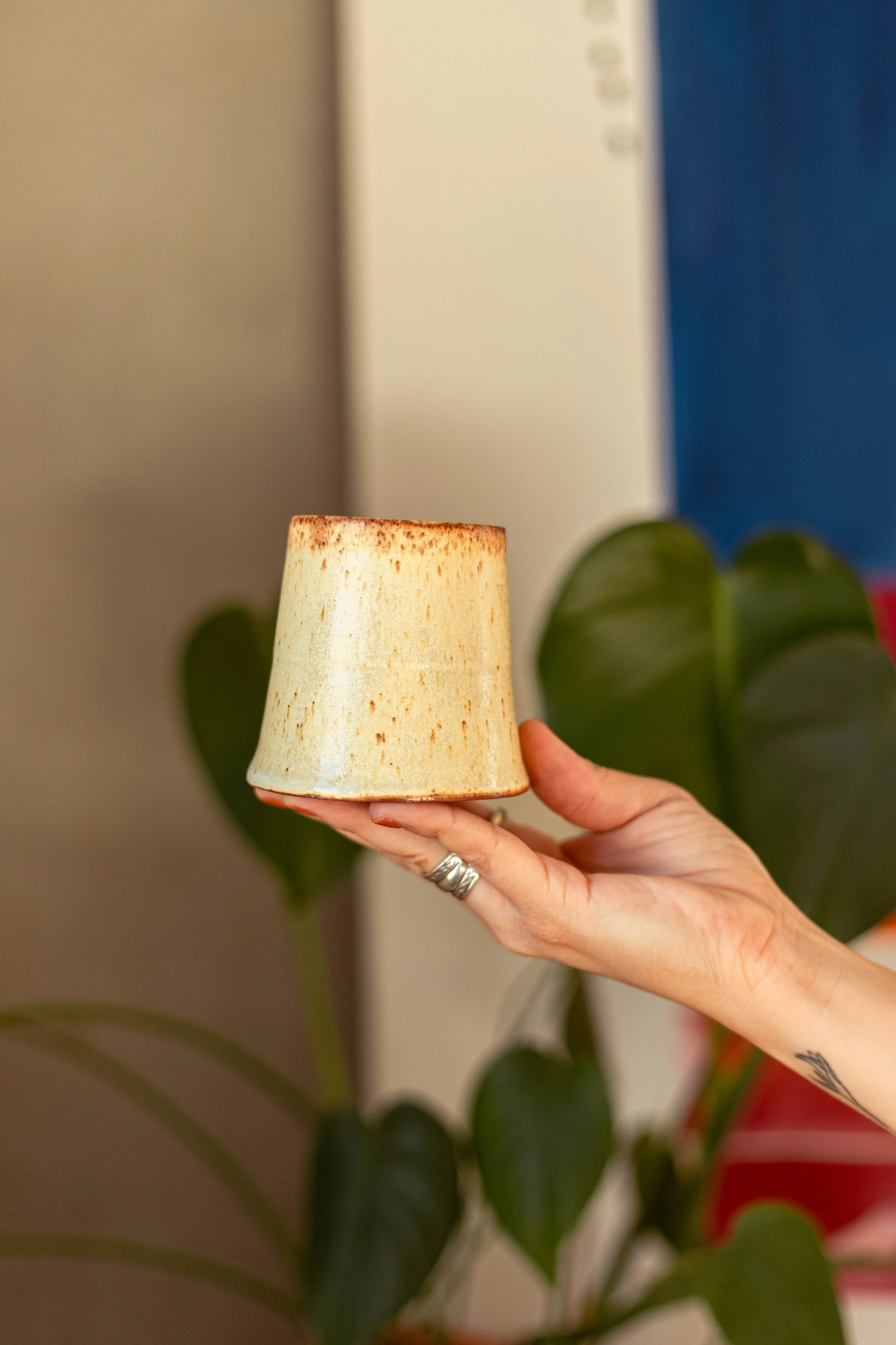 Copy of IMG_5038.jpg