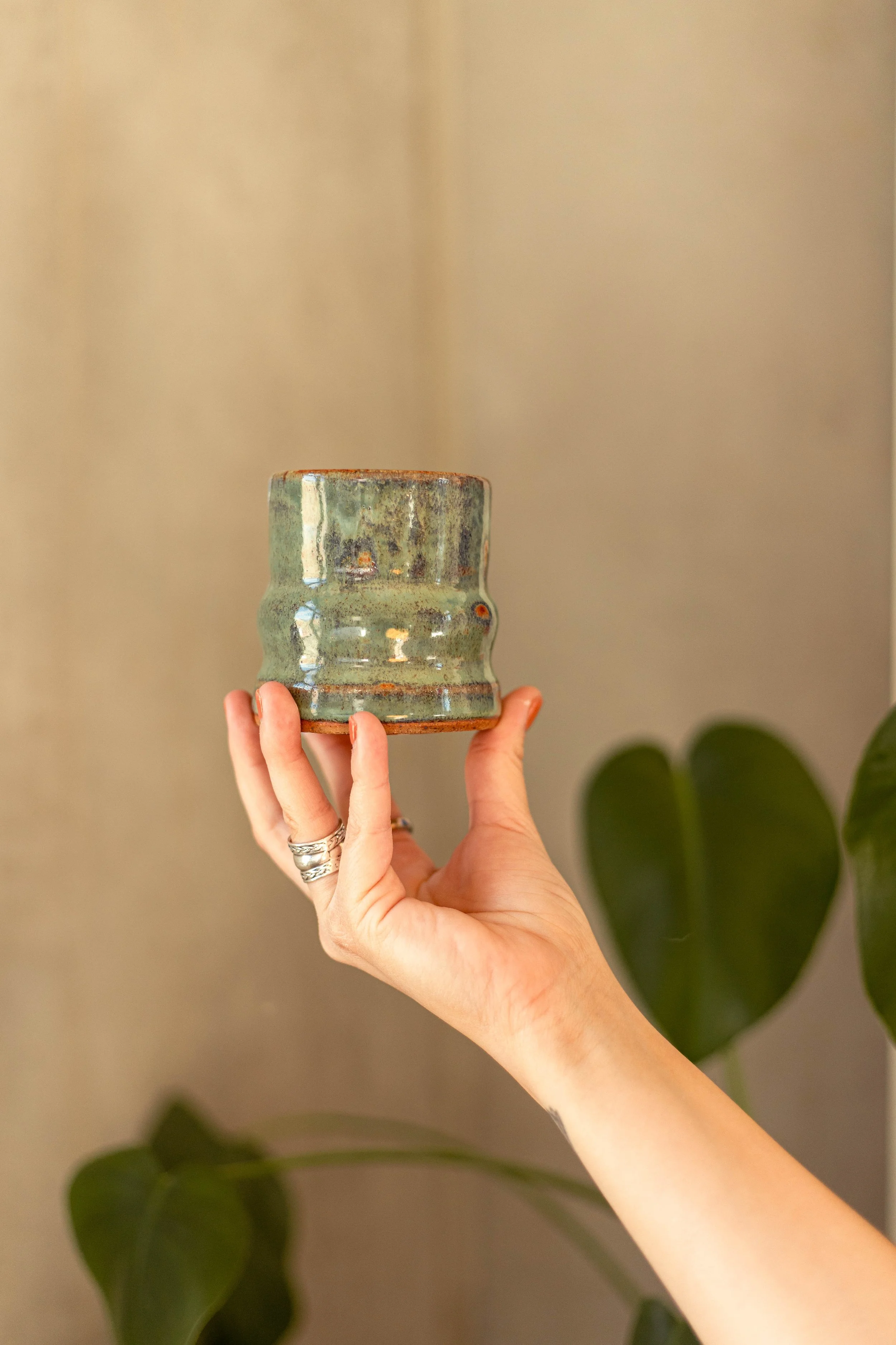 Copy of IMG_5040.jpg