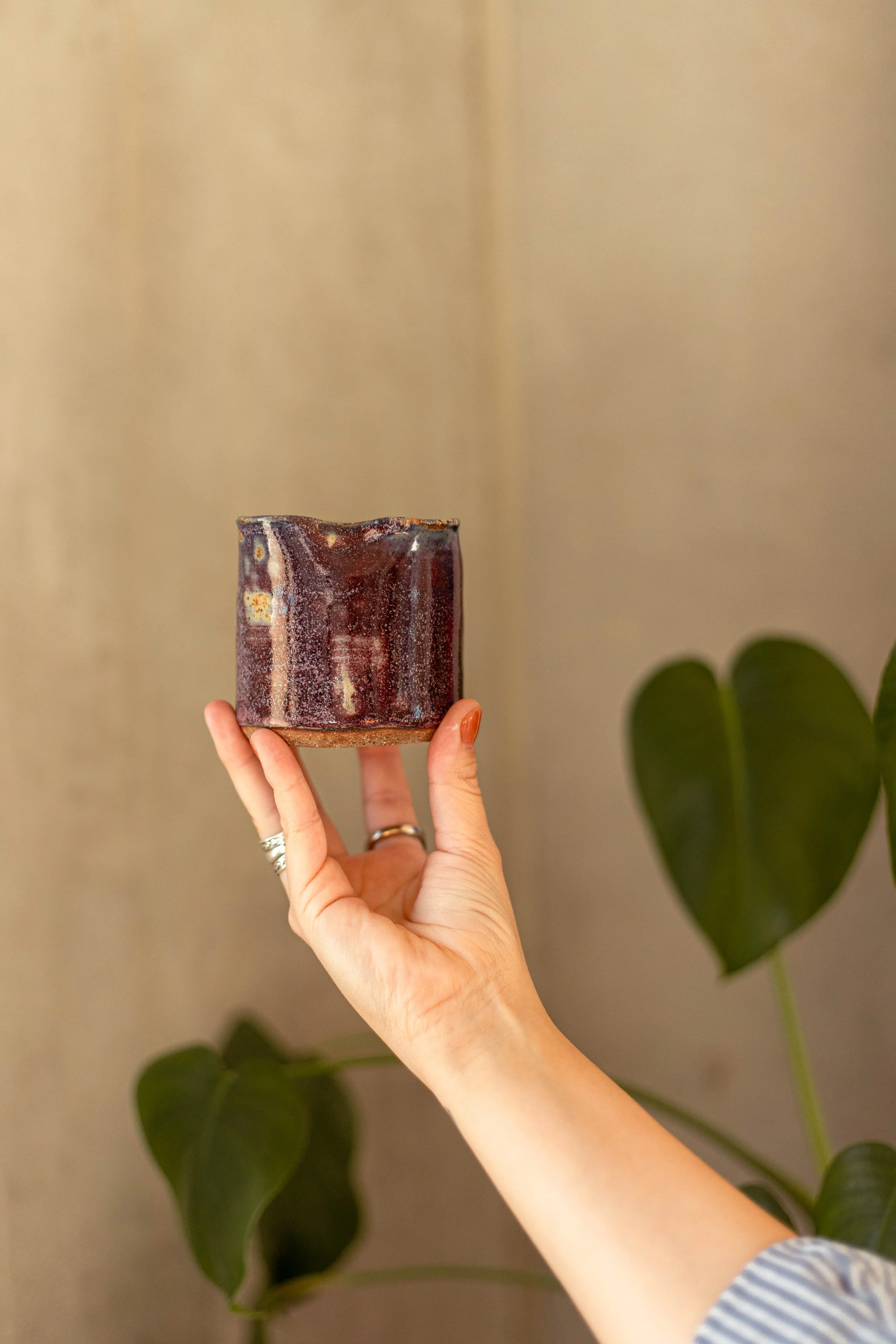 Copy of IMG_5044.jpg