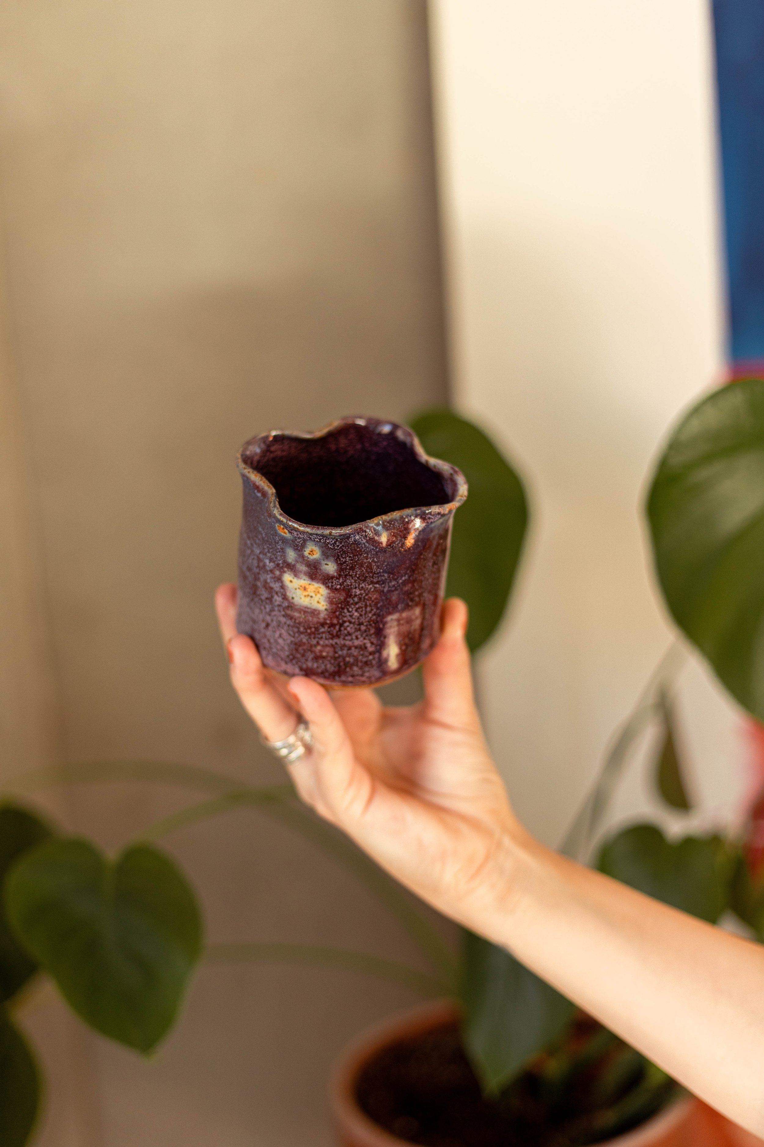 Copy of IMG_5046.jpg