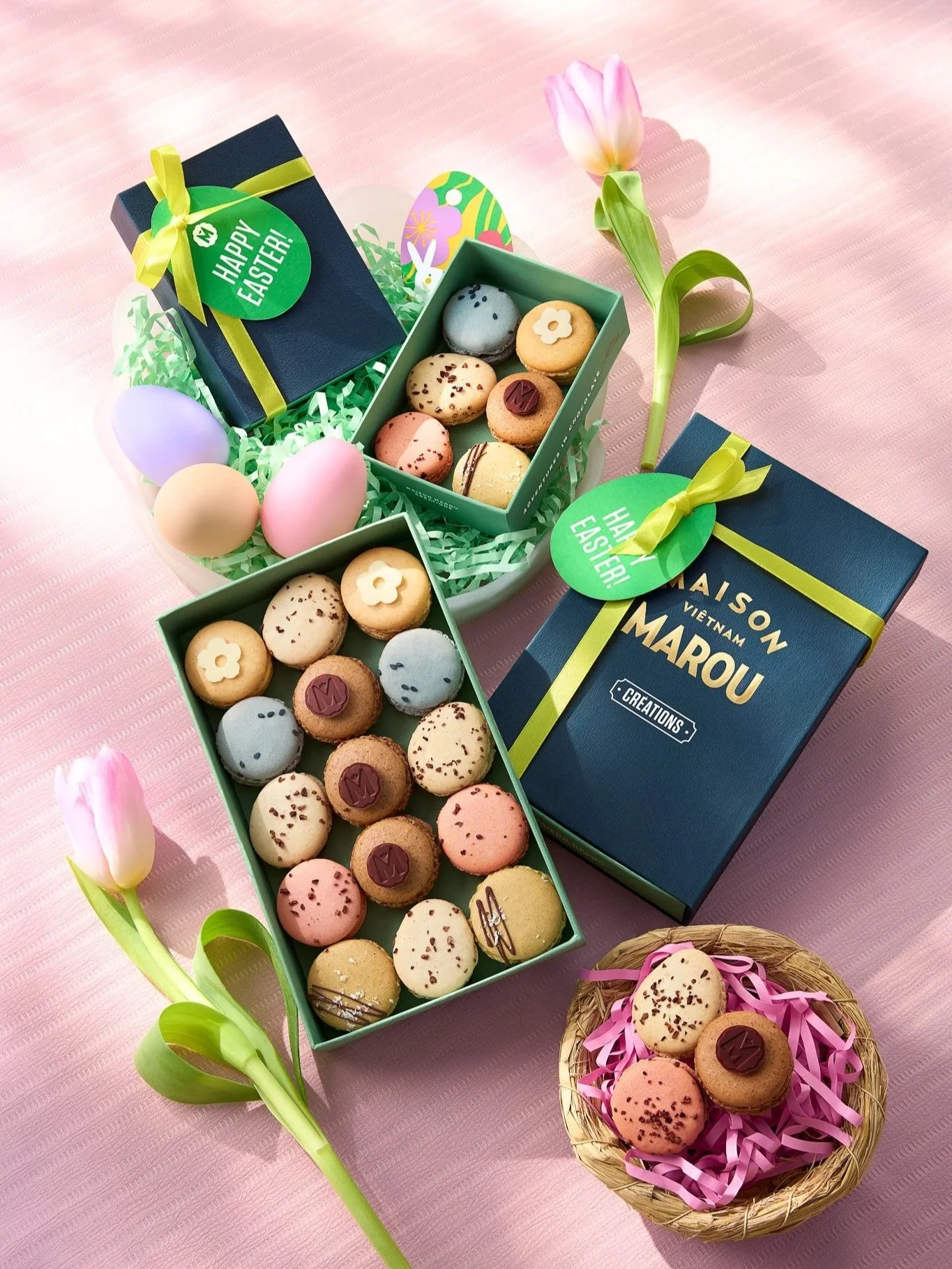 MrE_C7_Macaron.jpg