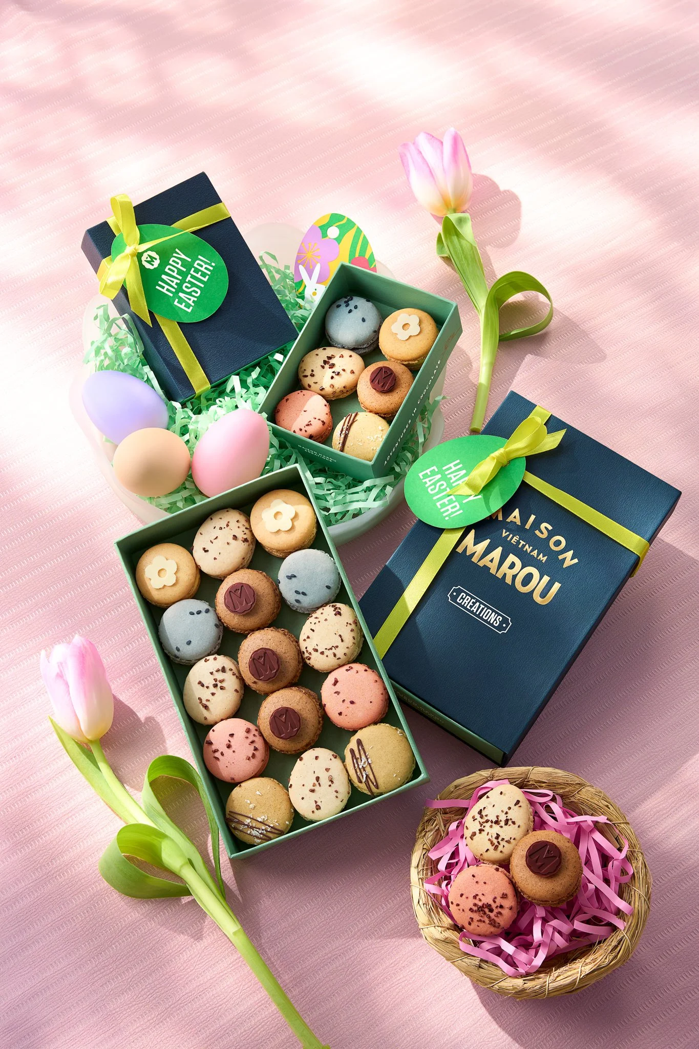 MrE_C7_Macaron.jpg