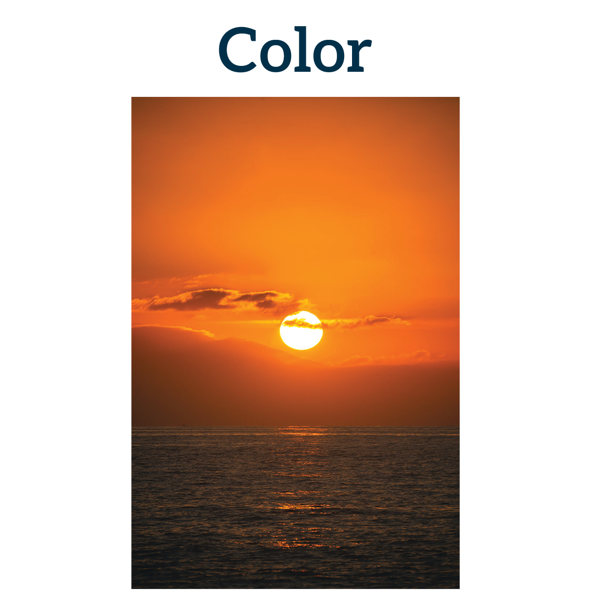 Color.png