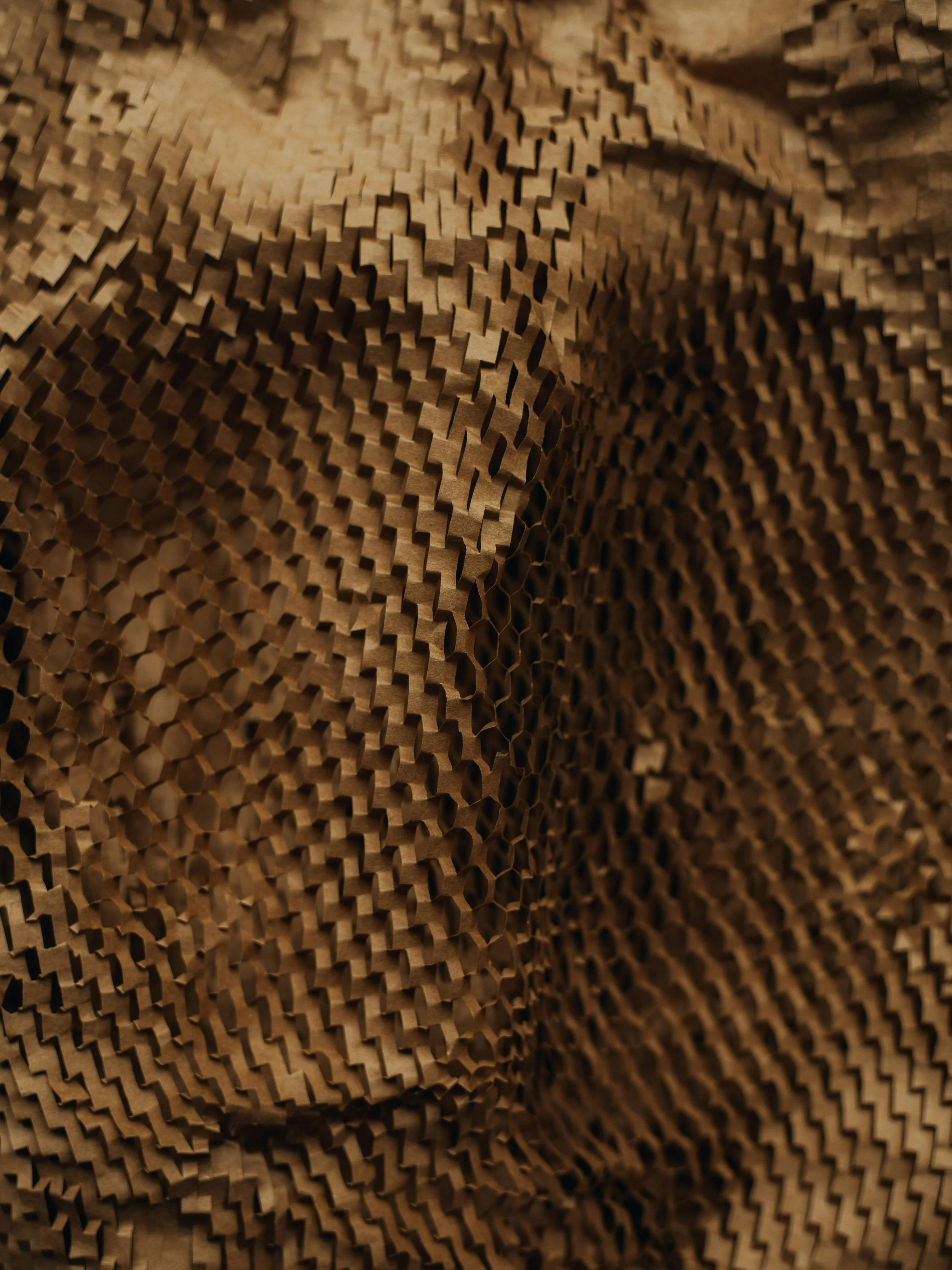 Close-up of textured crumpled brown paper used as inserts in packaging.