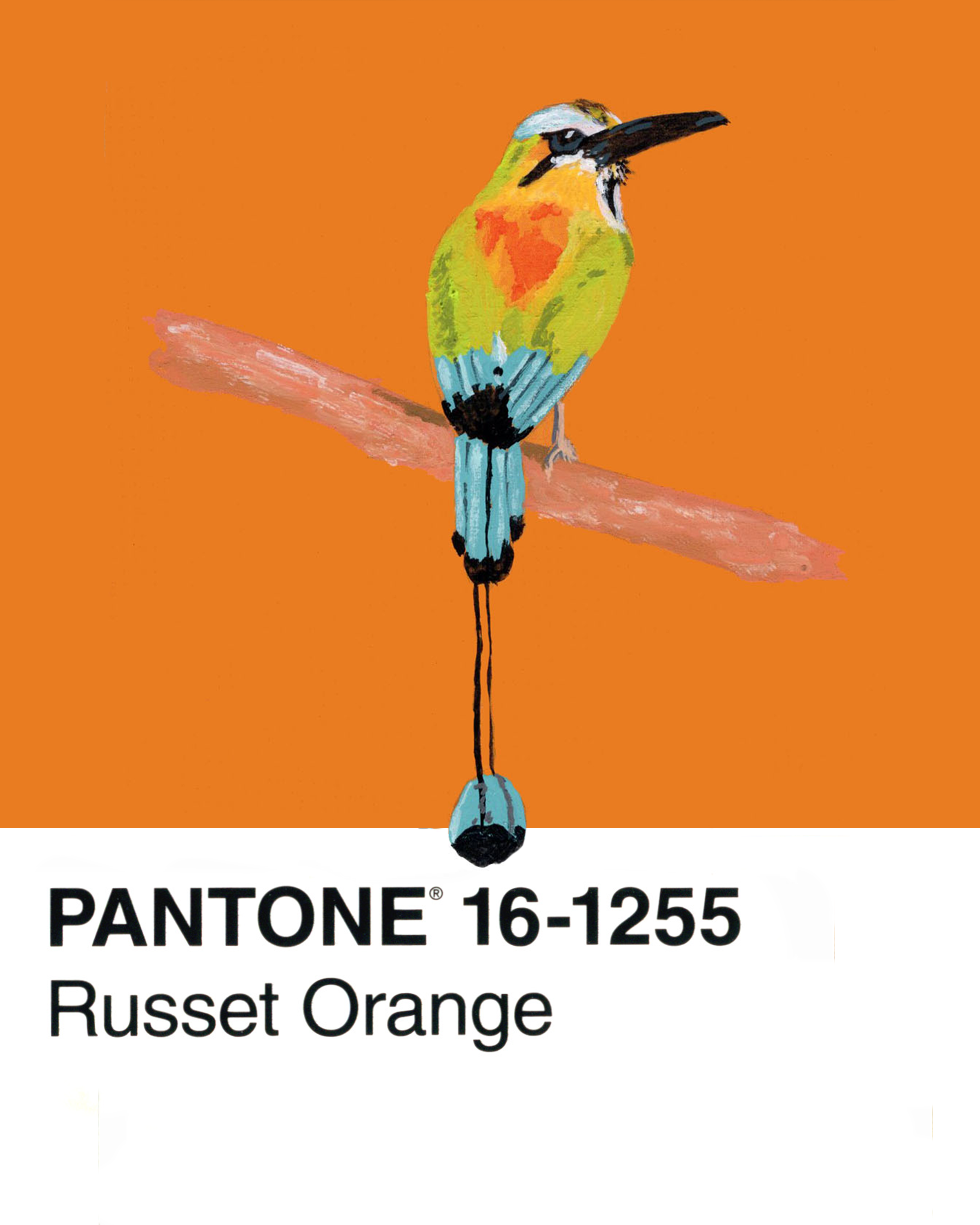 Turqoise-browed Motmot - 8x10.png
