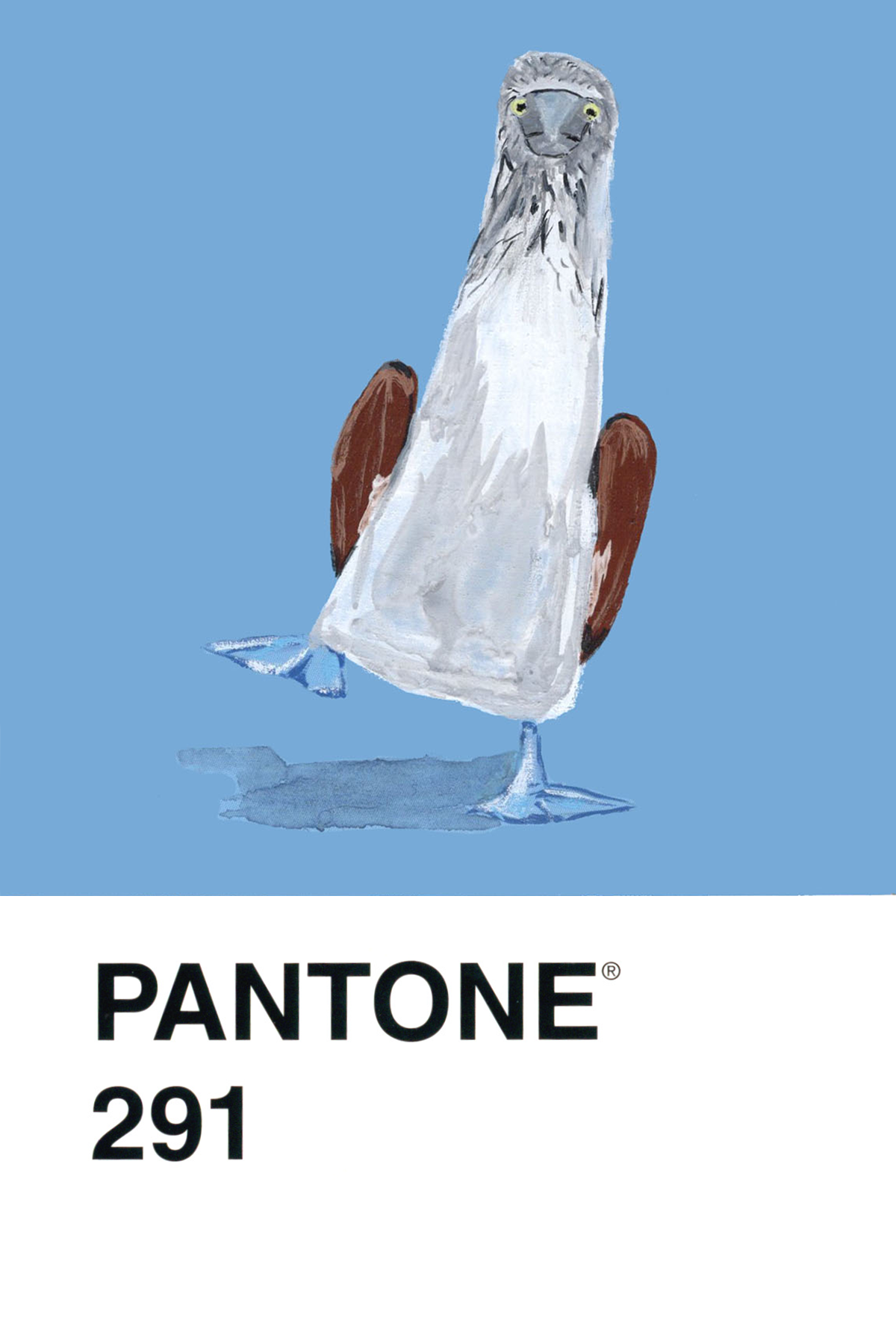 Blue-footed Booby - 4x6.png