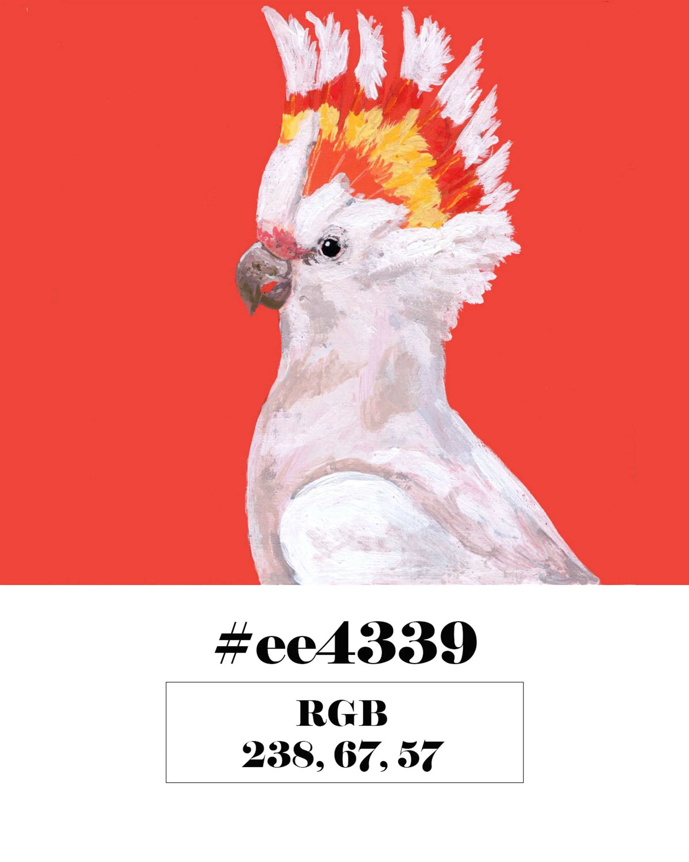 Major Mitchell's Cockatoo