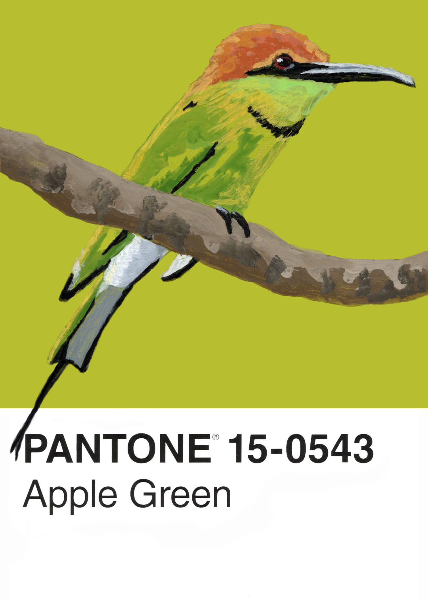 Asian Green Bee-eater