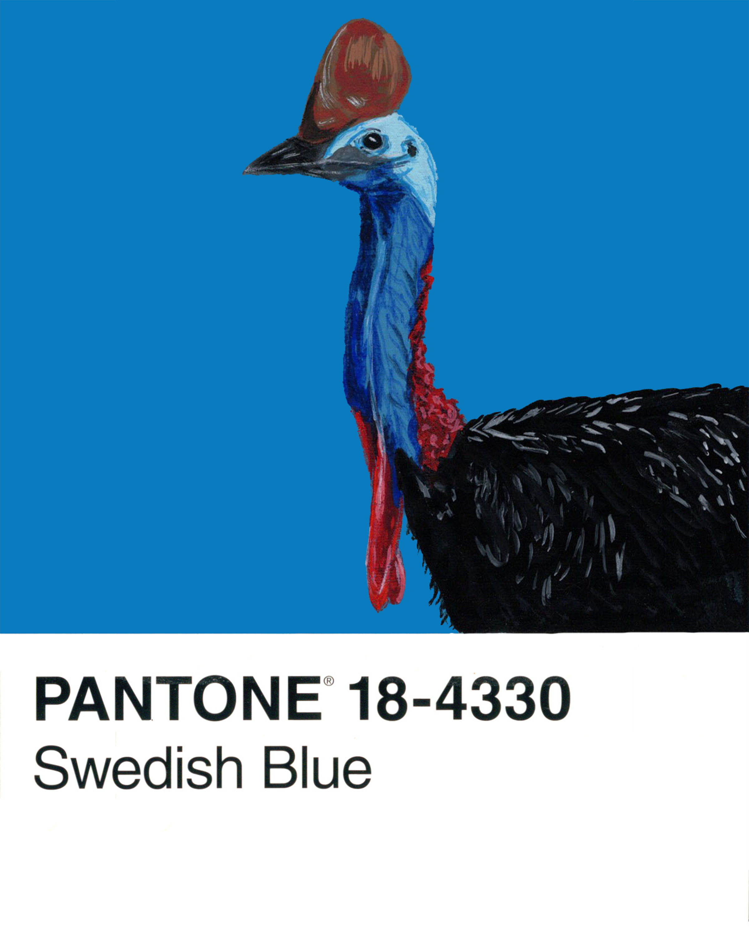 Cassowary - 8x10.png