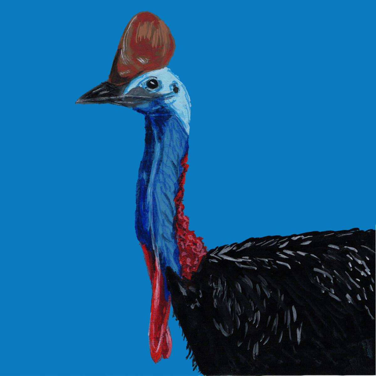 Cassowary Pantone