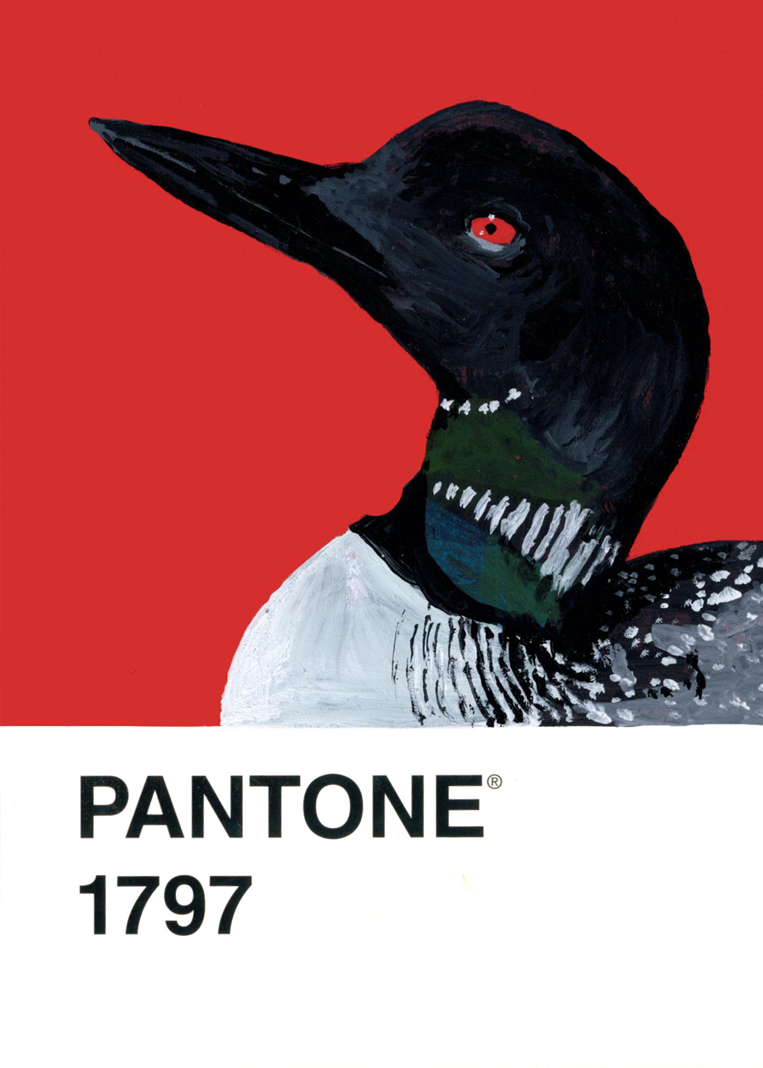 Common Loon
