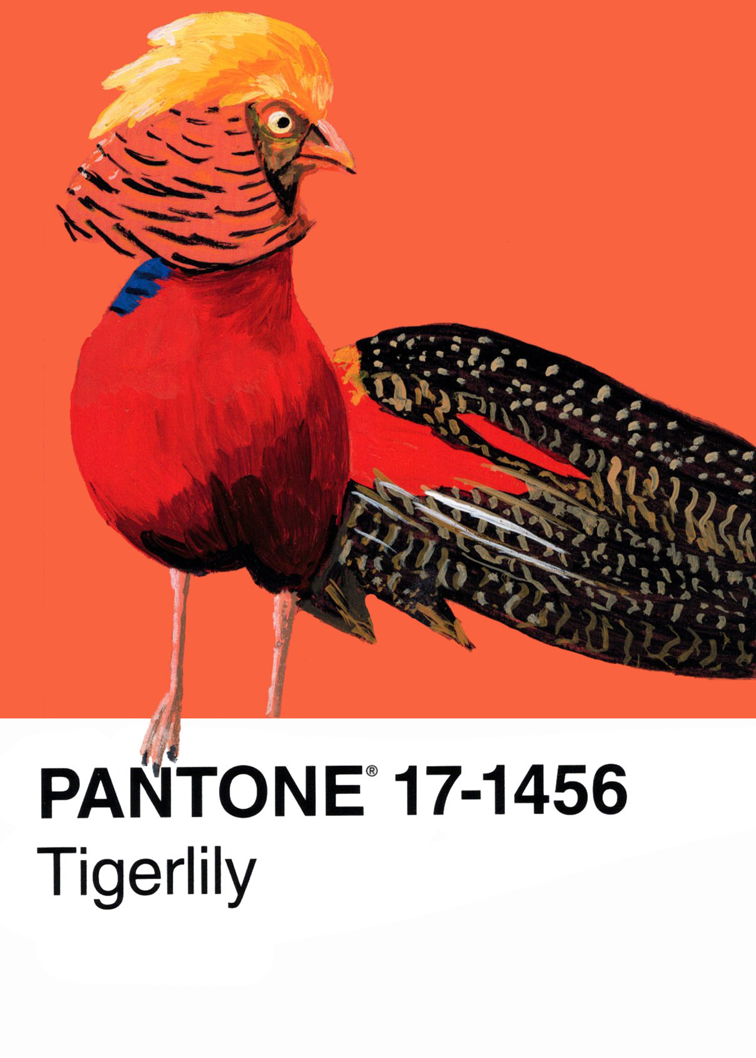 Golden Pheasant